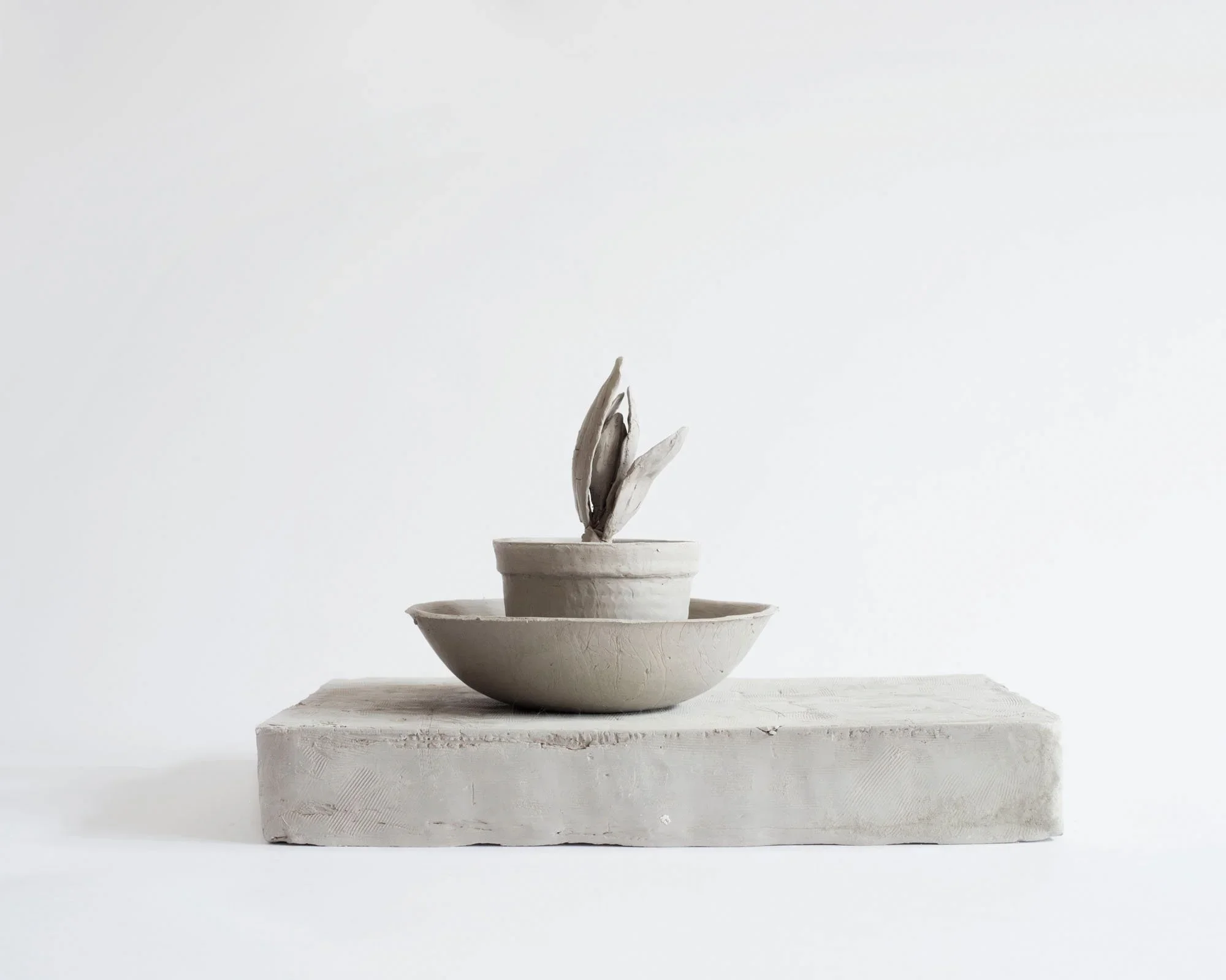  
DAPHNE WRIGHT  Still Life, 2016    Mixed media  