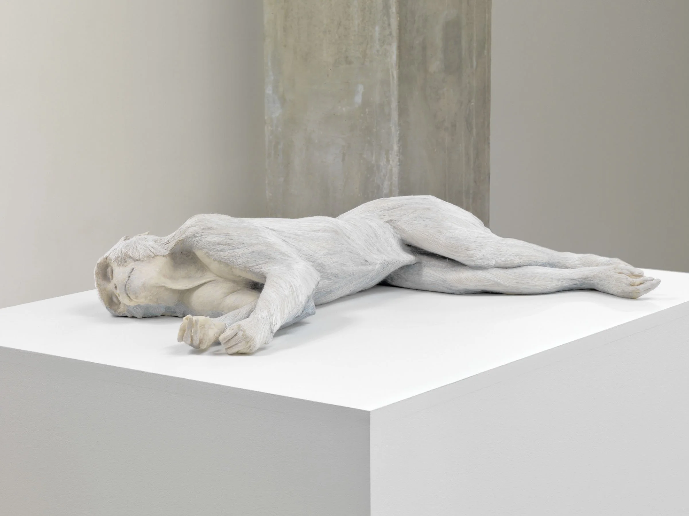  
DAPHNE WRIGHT  Primate, 2009    Marble dust, onyx, resin, paint and silk embroidery  
