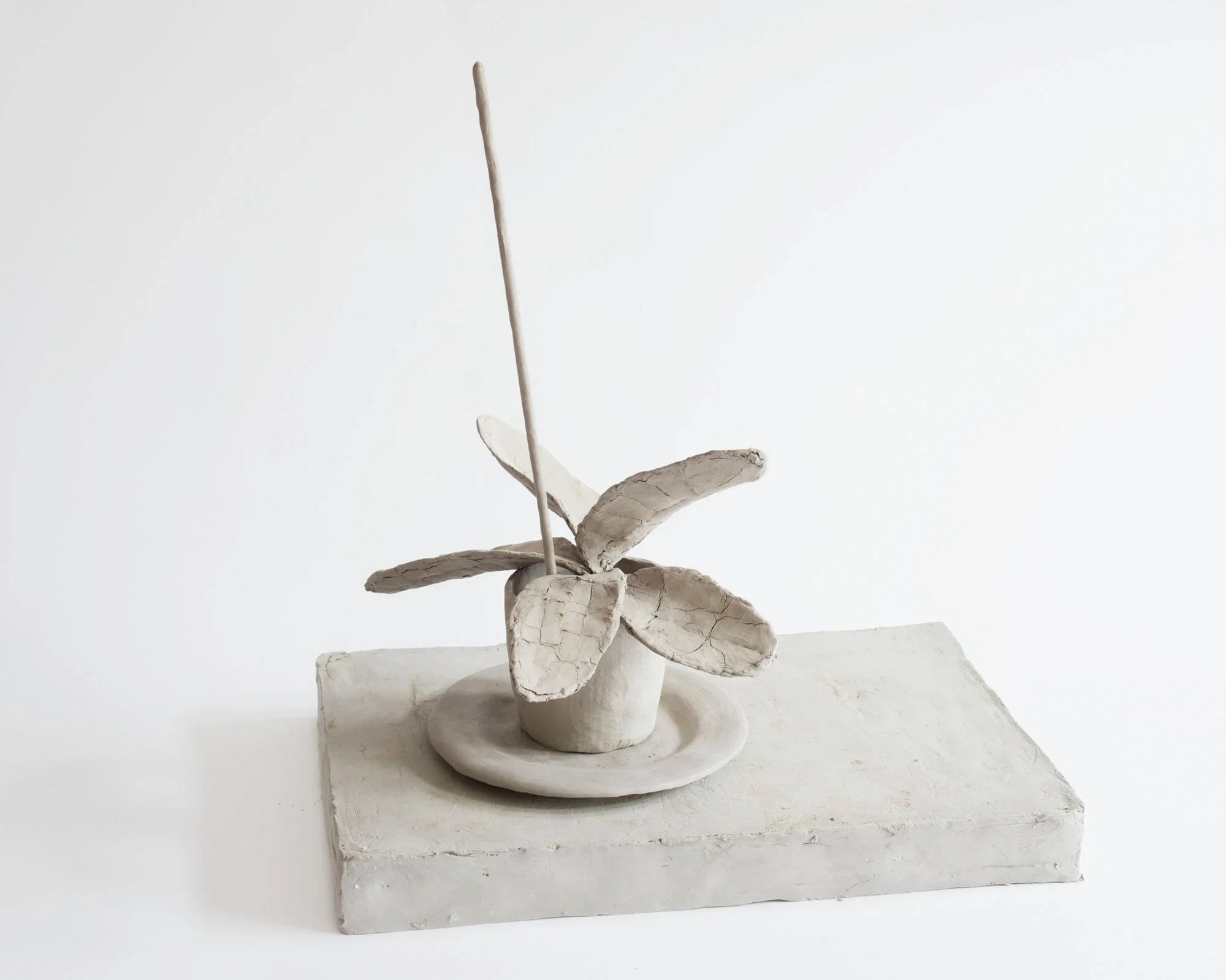  
DAPHNE WRIGHT  Still Life - Cactus, 2016    Mixed media  