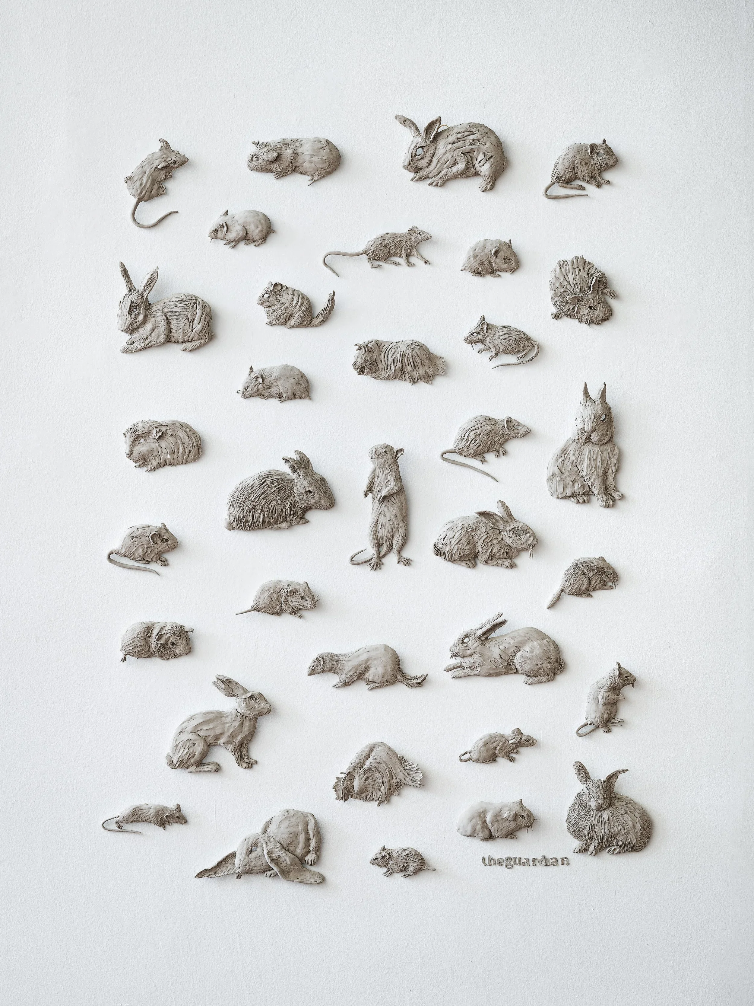  
DAPHNE WRIGHT  Pet Rodents and Rabbits, 2019    Mixed media  
