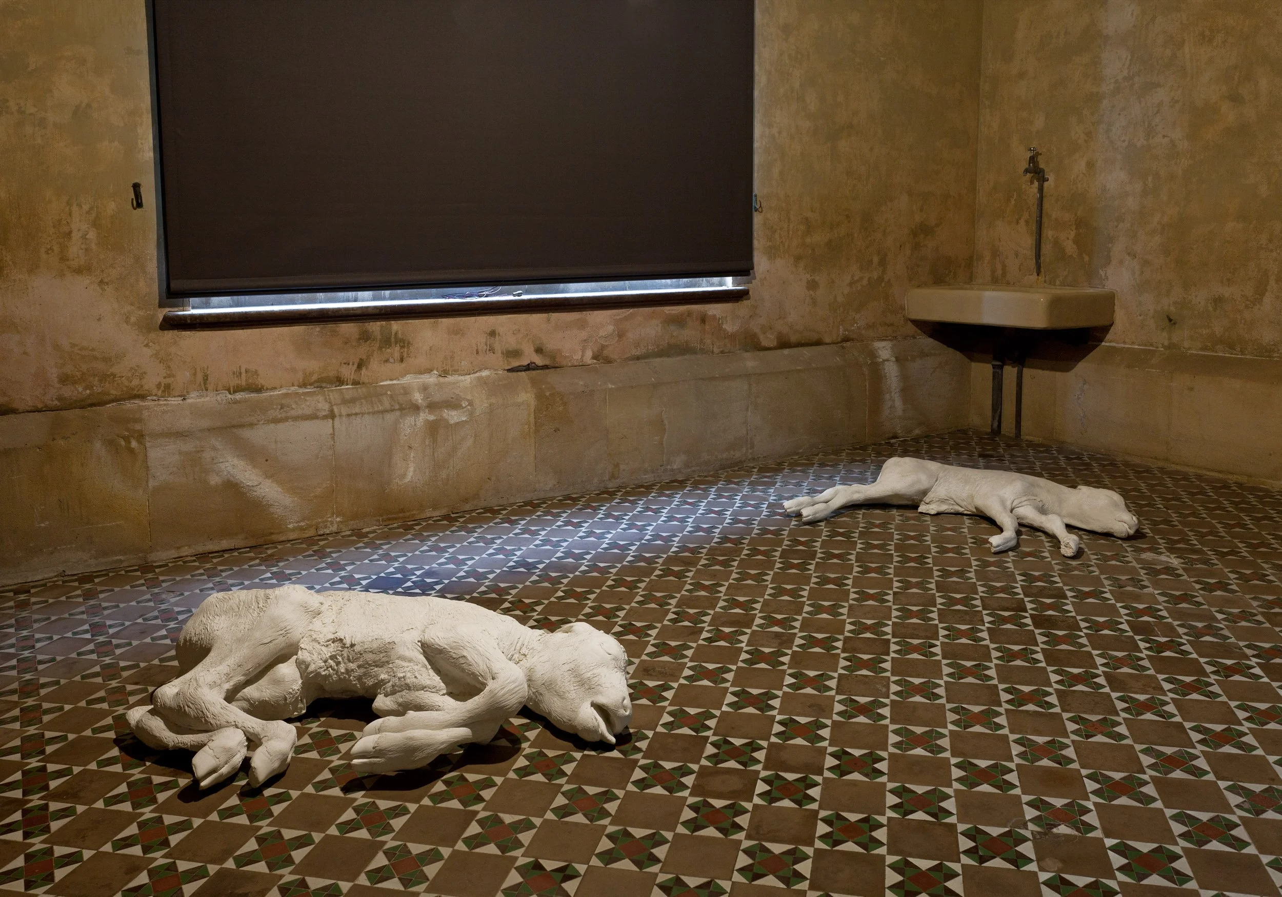  
DAPHNE WRIGHT  Stillborn, 2003    Plaster and paint  