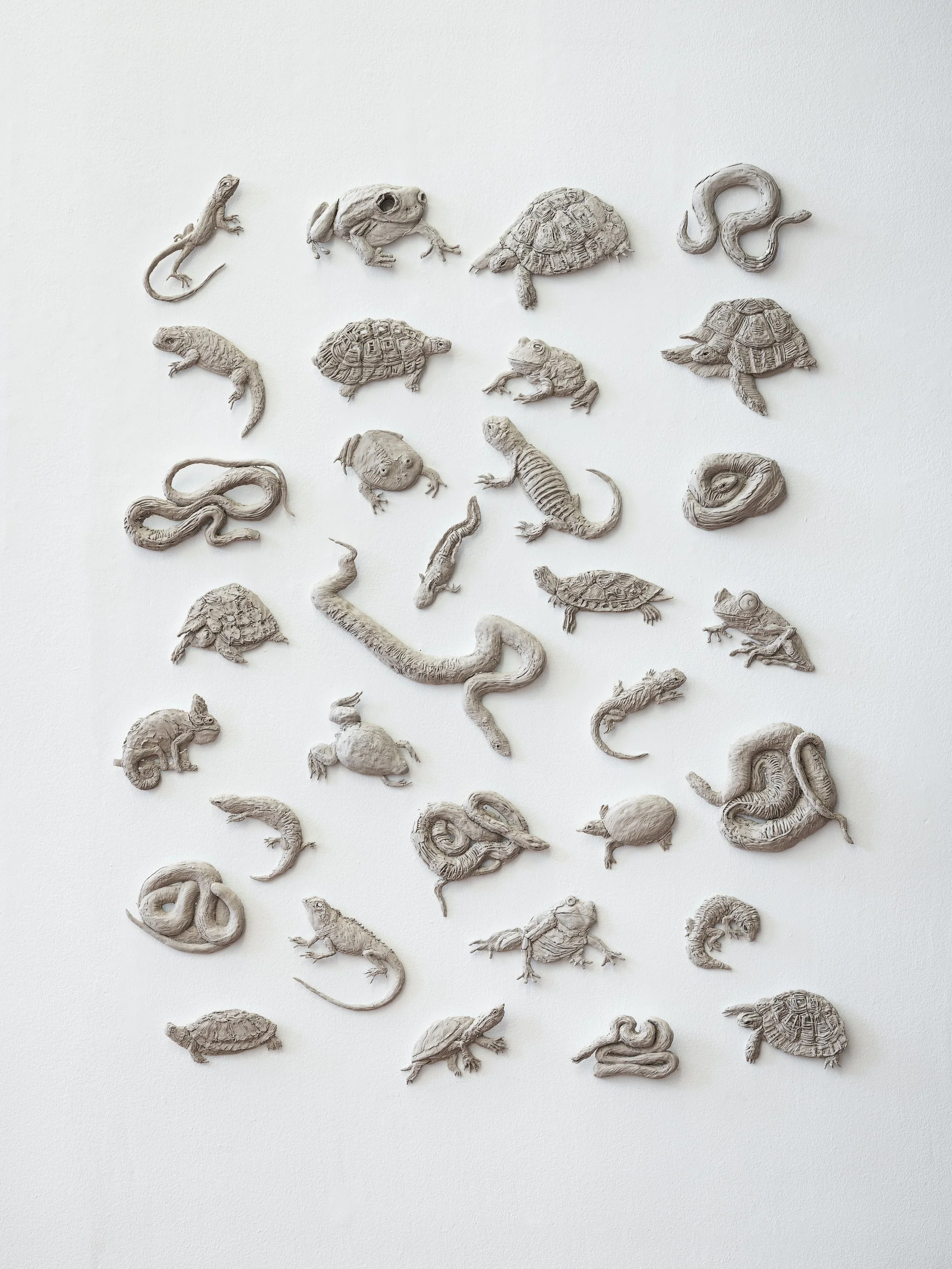  
DAPHNE WRIGHT  Pet Amphibians and Reptiles, 2019    Mixed media  
