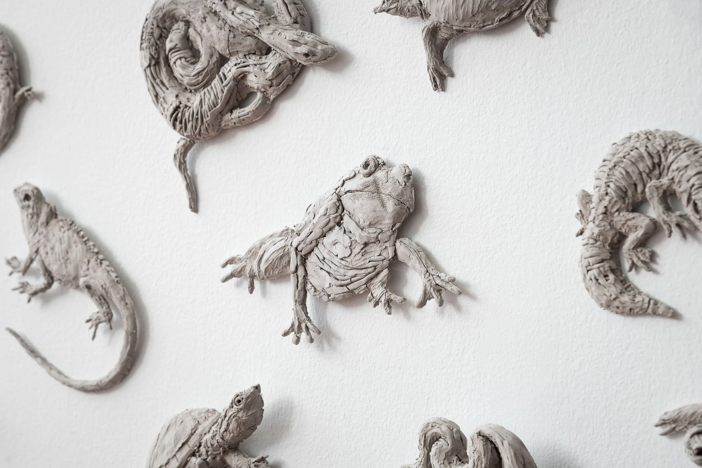  
DAPHNE WRIGHT  Pet Amphibians and Reptiles (detail), 2019    Mixed media  
