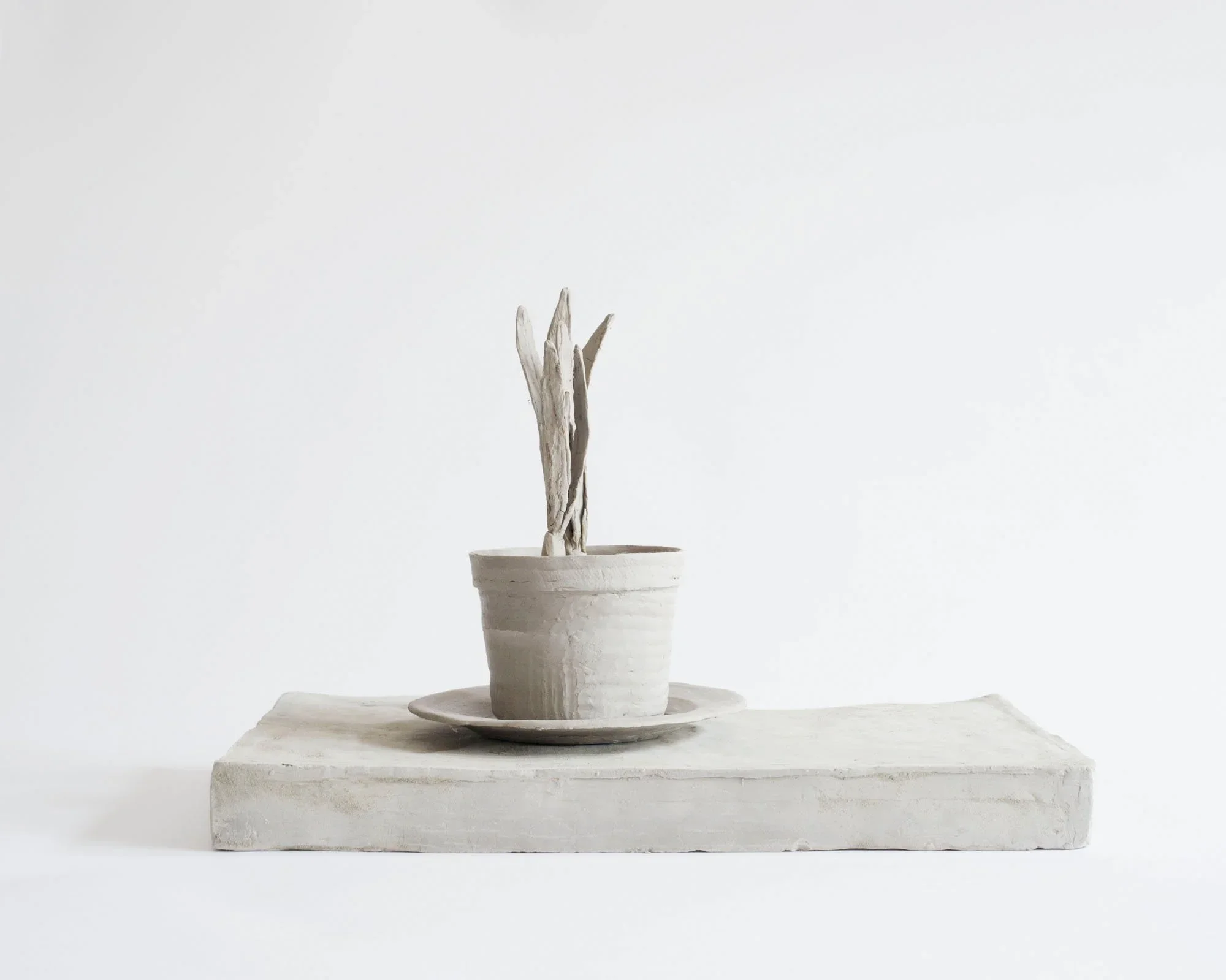  
DAPHNE WRIGHT  Still Life - Sprout, 2016    Mixed media  