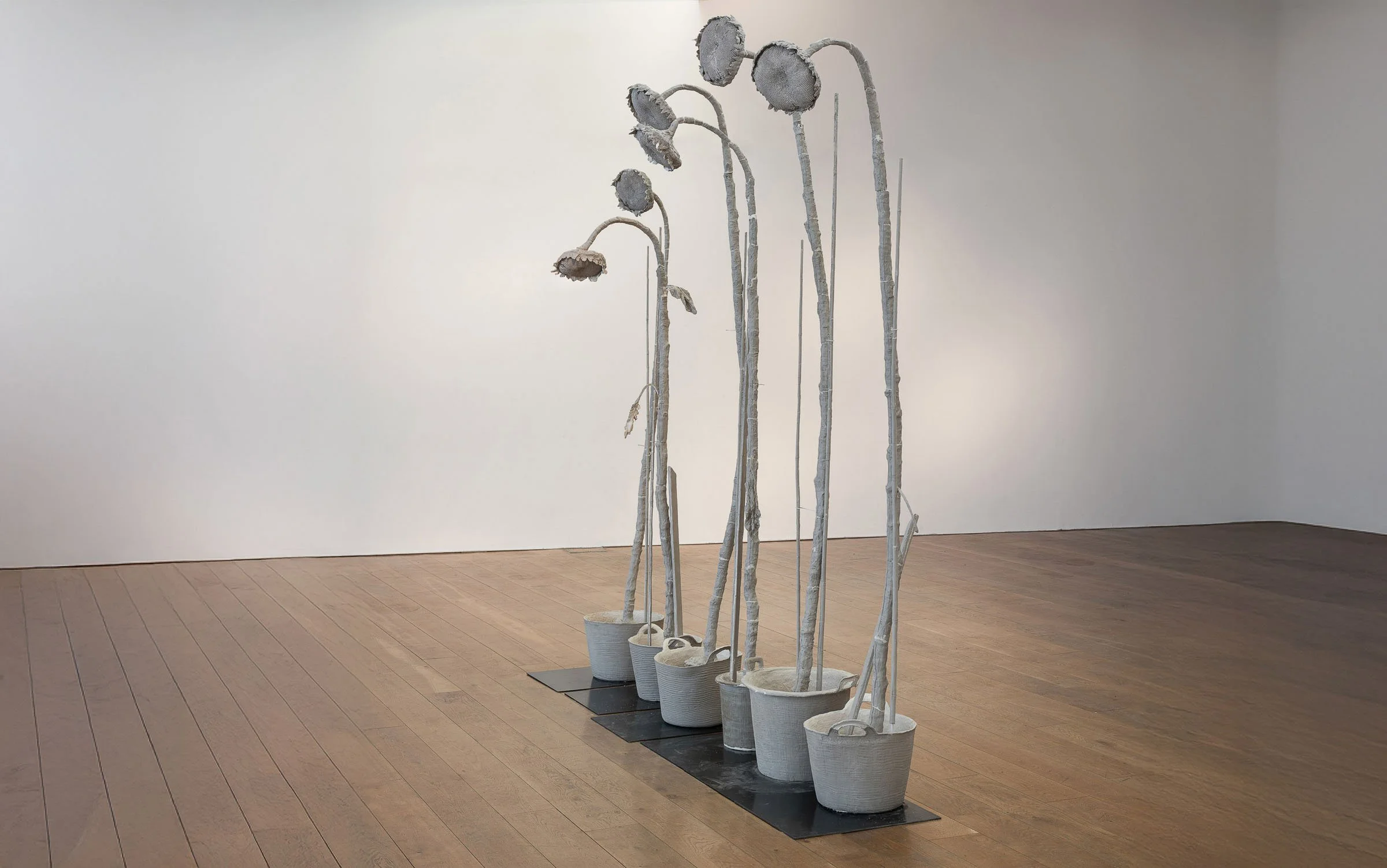  
DAPHNE WRIGHT 
 Maple Row Sunflowers, 2019   
 Unfired clay & mixed media  
