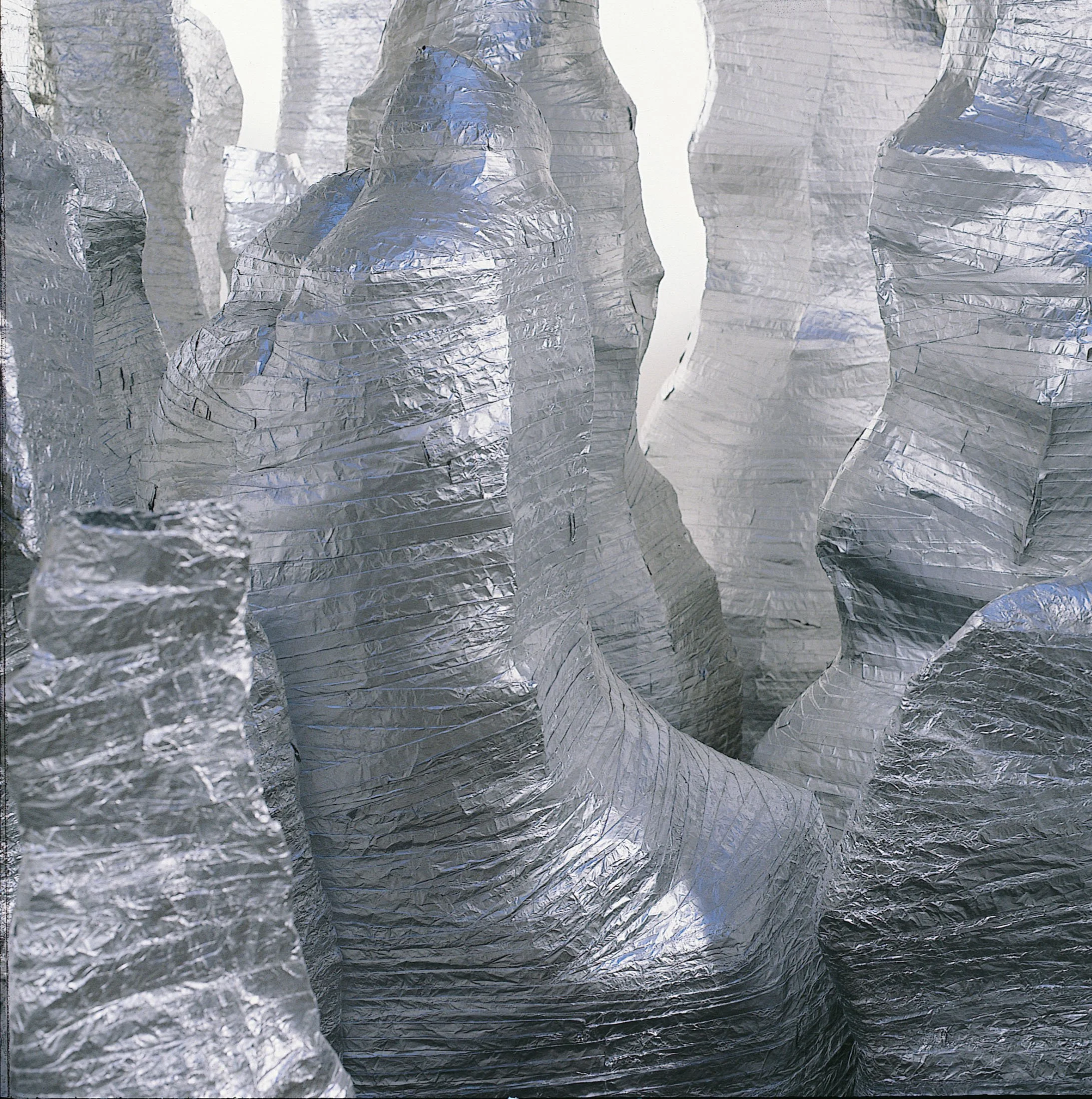  
DAPHNE WRIGHT  Indeed, Indeed (detail), 1998    Tinfoil and glue  