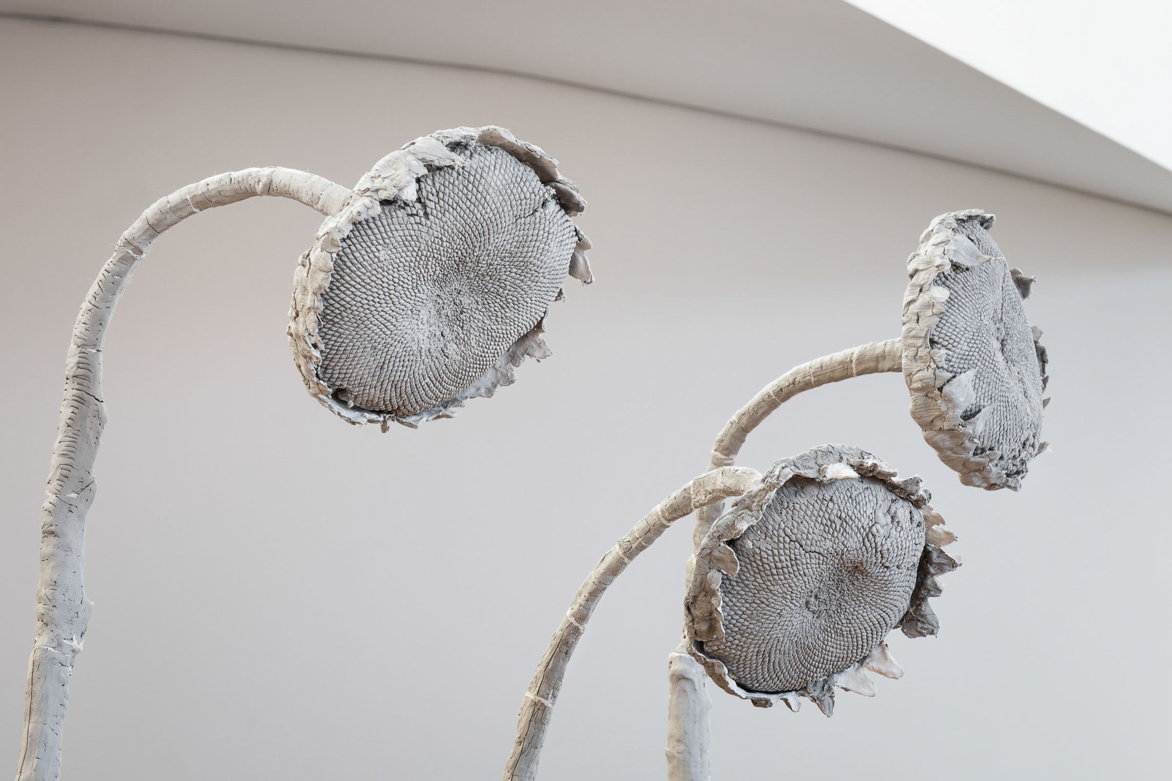  
DAPHNE WRIGHT 
 Maple Row Sunflowers (detail), 2019   
 Unfired clay & mixed media  
