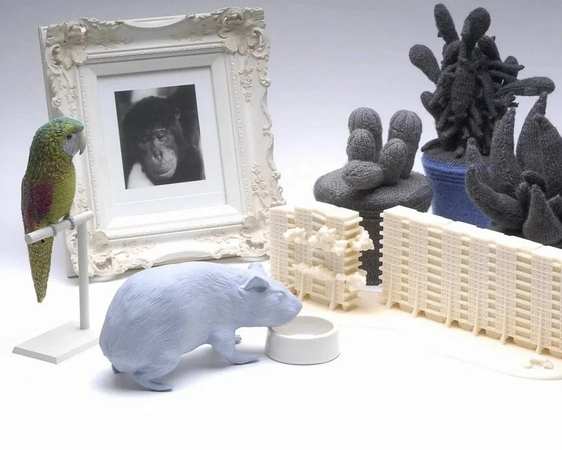  
DAPHNE WRIGHT  Home Ornaments, 2002 - 2005    Mixed media  