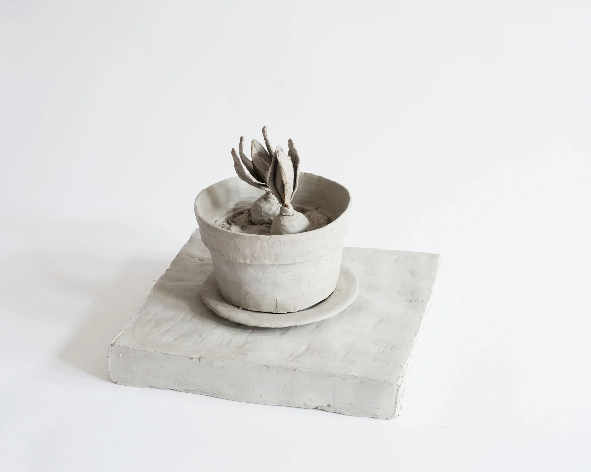  
DAPHNE WRIGHT  Still Life, 2016    Mixed media  