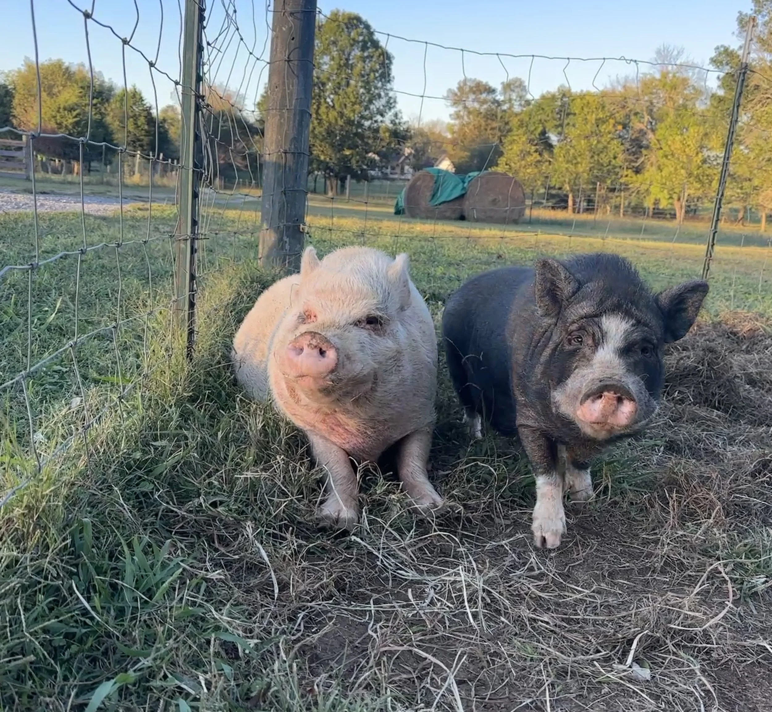 What is a hobby farm?