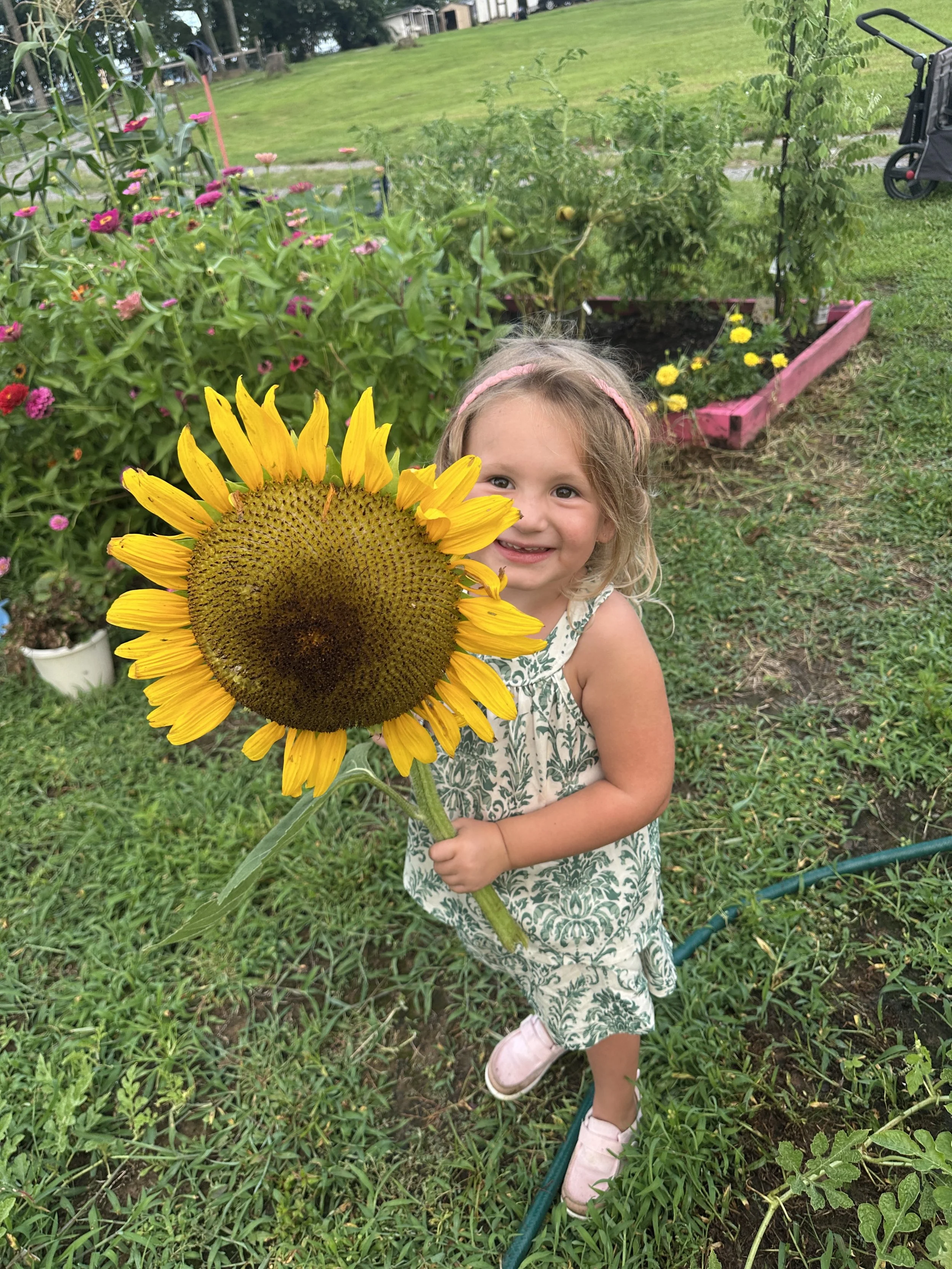 A young girl with blonde hair, wearing a pink headband and a white dress with green floral patterns, is holding a large sunflower and smiling in a garden. The garden has various flowers, plants, and a raised flower bed, with a grassy backyard and trees in the background.