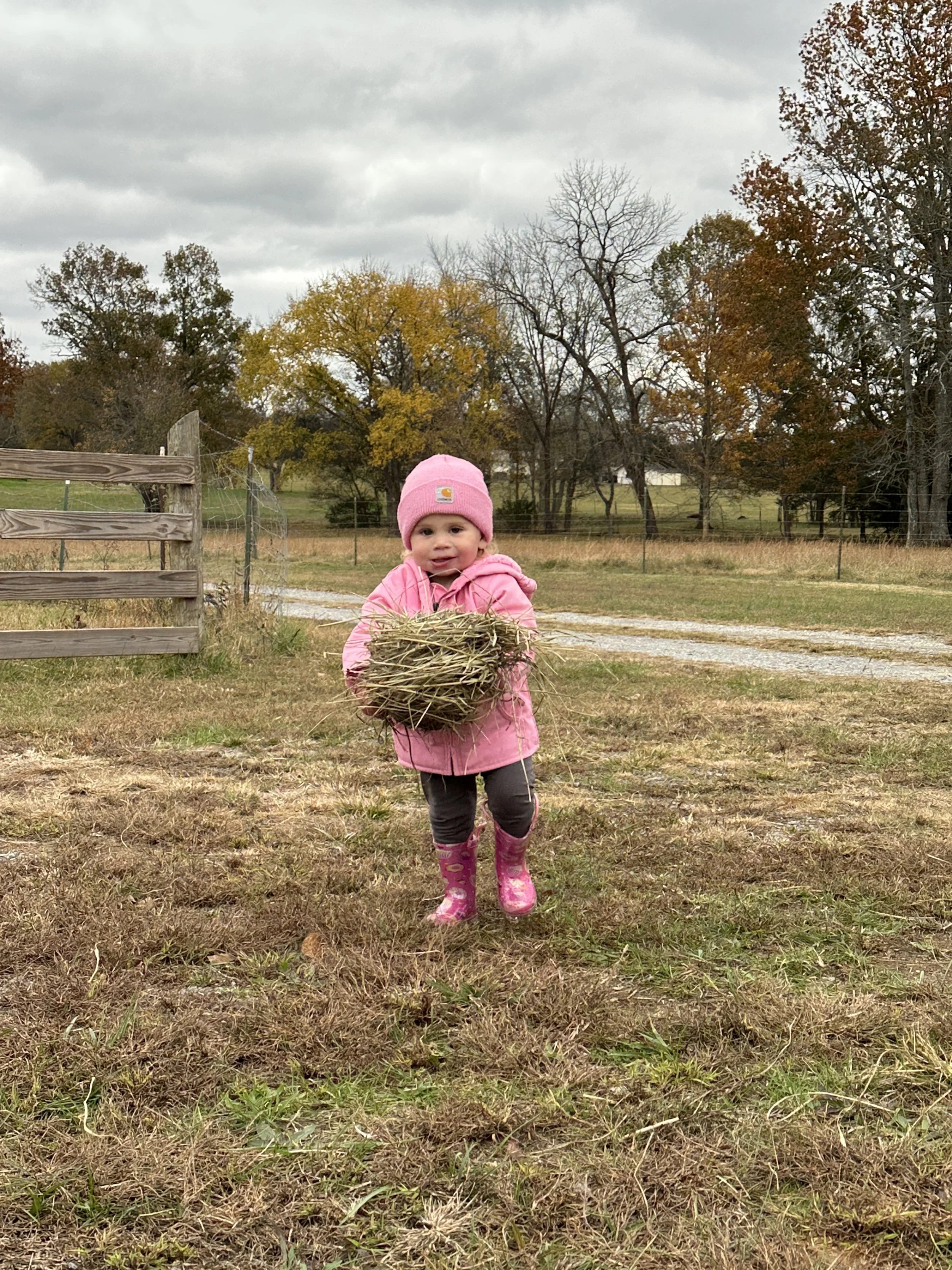 A young girl dressed in pink, holding a bird's nest, outside on a cloudy day with trees in fall foliage in the background.
