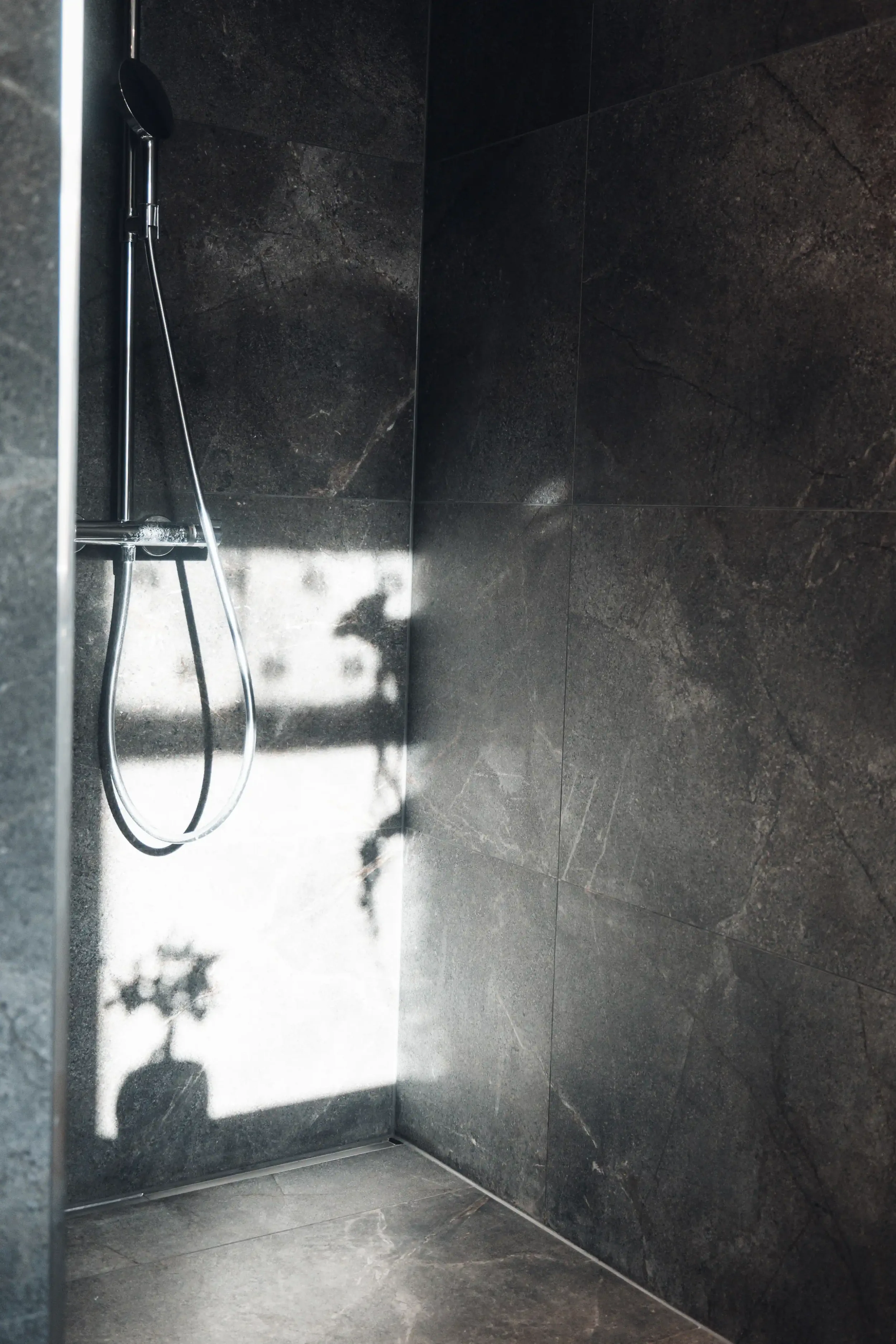 Duschbereich mit dunklen Steinfliesen und einem Handbrause, Schatten eines Pflanzens auf der Wand