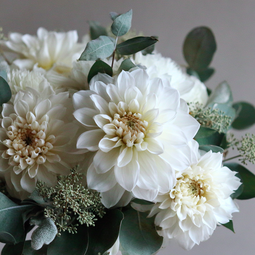 How to Preserve Your Flowers - White Wedding Dahlias.png