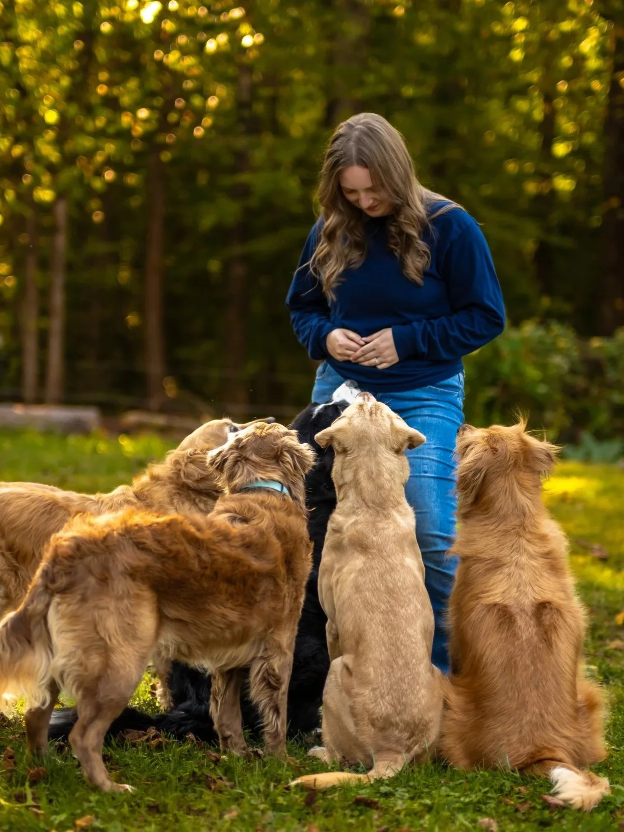 A young woman in a blue sweatshirt and jeans standing outdoors on grass surrounded by several golden retriever puppies sitting and standing around her, with trees in the background.