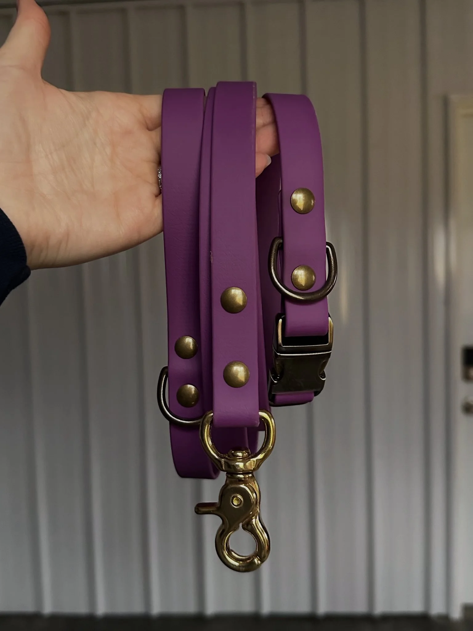 Violet Collar