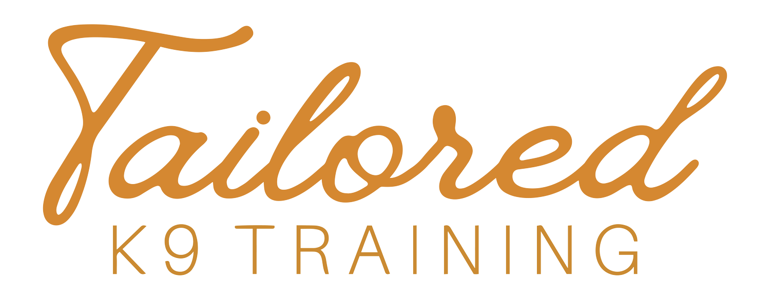 Tailored K9 Training