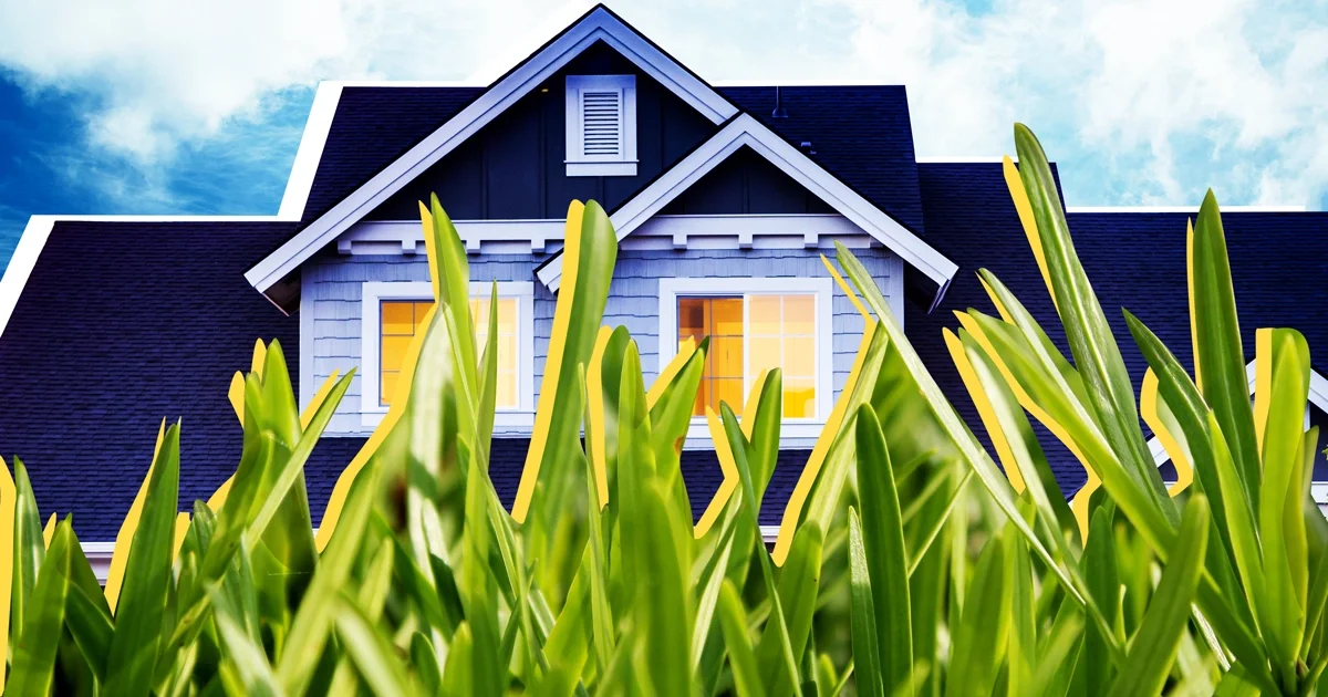 Why Folks Are Joining The No-Mow Movement