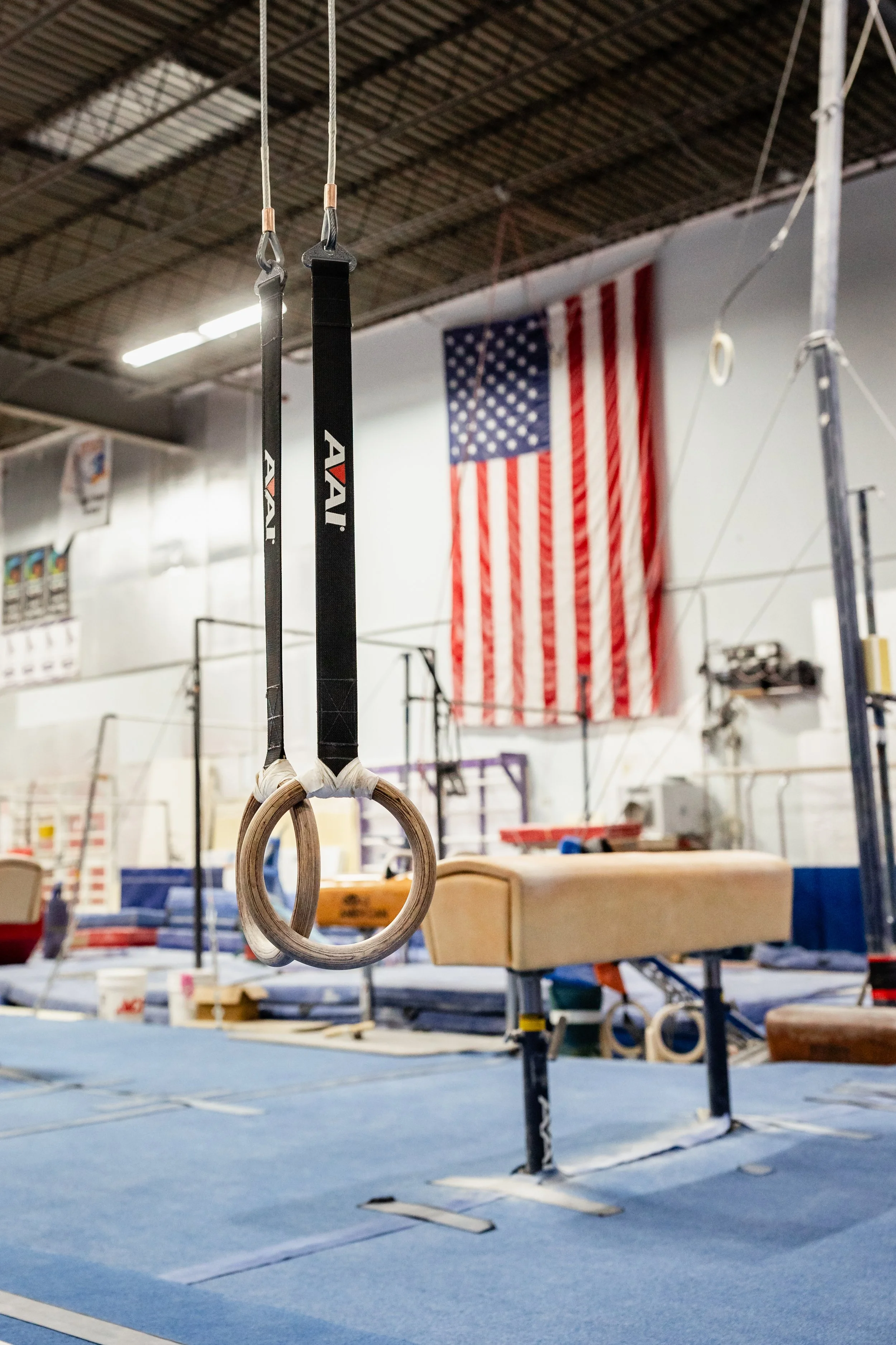 Gymnastics gym with gymnastic rings hanging from the ceiling, American flag in the background, and various gym equipment around.