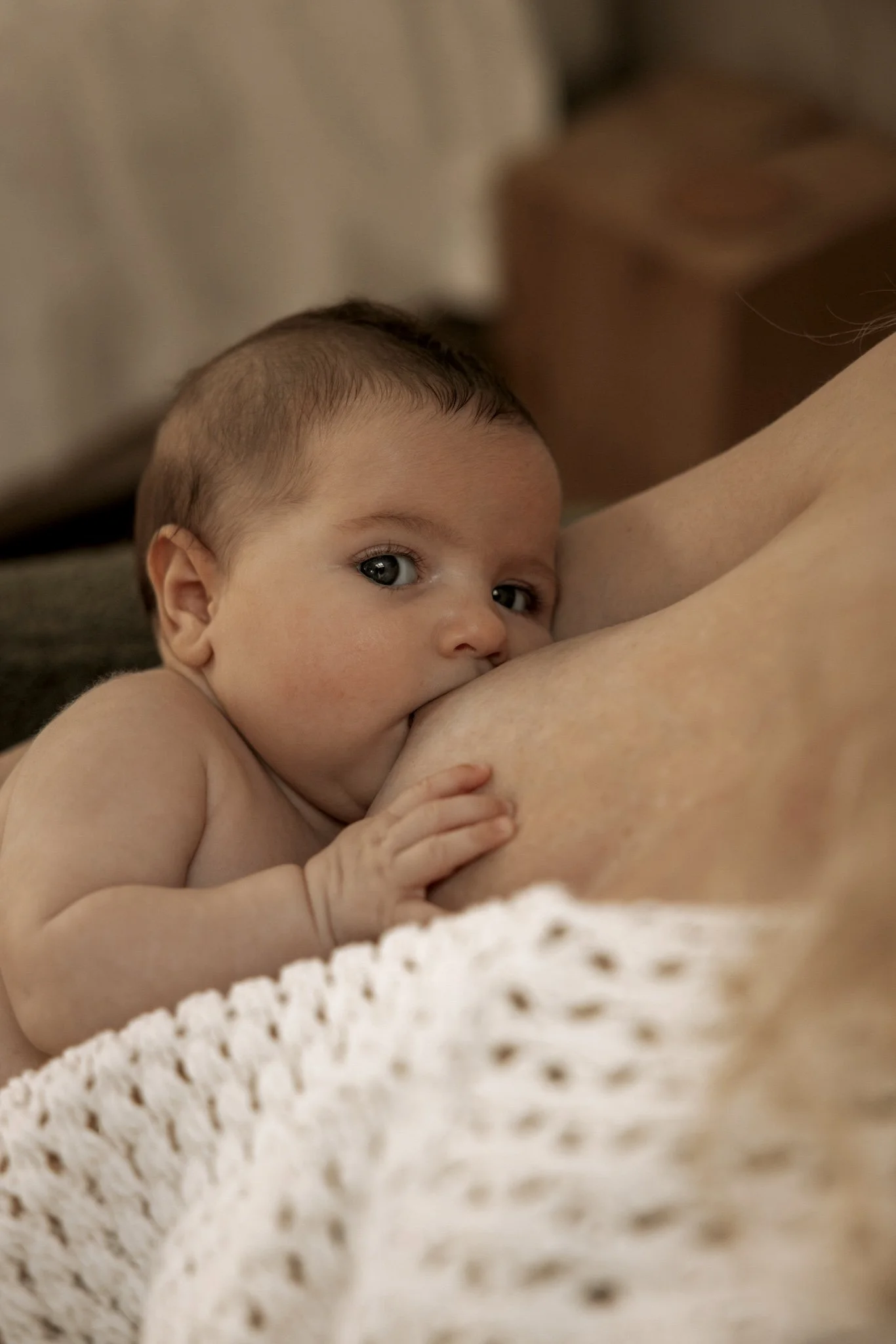 séance maternité intimiste, allaitement, peau à peau, mère et son bébé