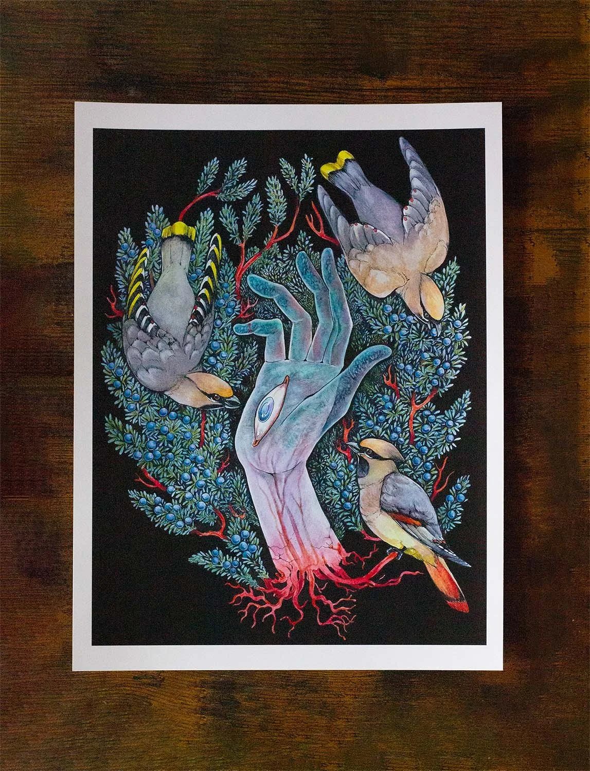 Plague Birds - Archival Print