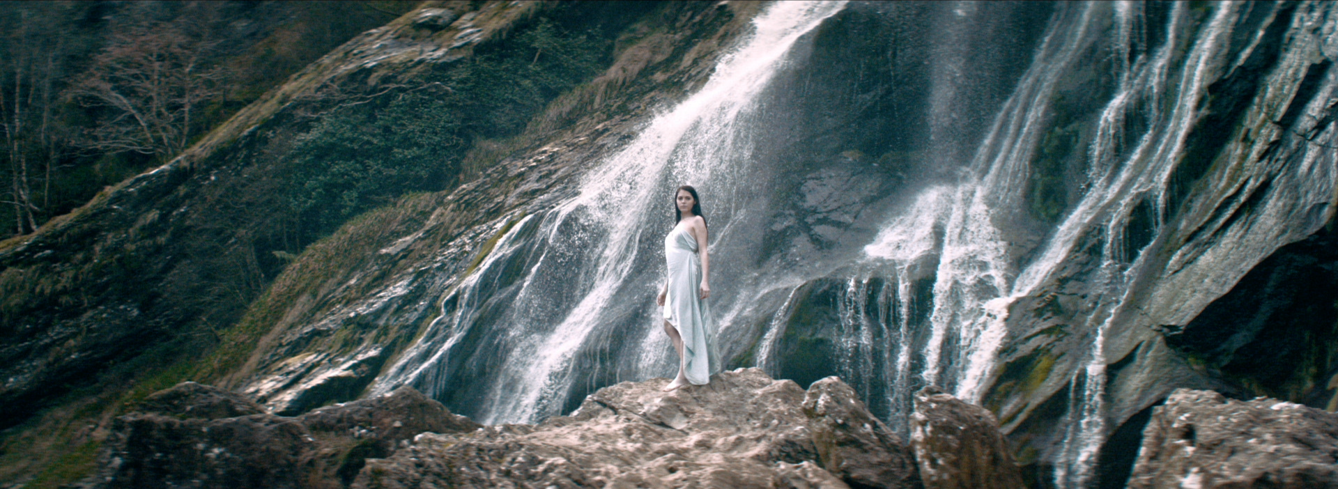 MIDDLETON VERY RARE WHISKEY