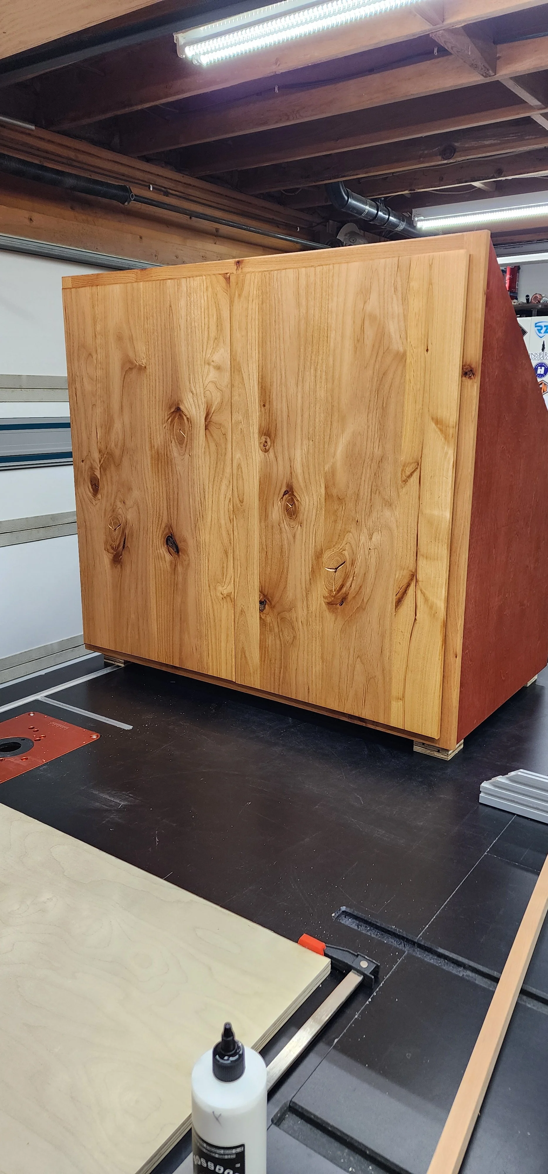 Knotty Alder cabinet with birch stained cases and birch pullout shelf and adjustable shelf. In the shop.