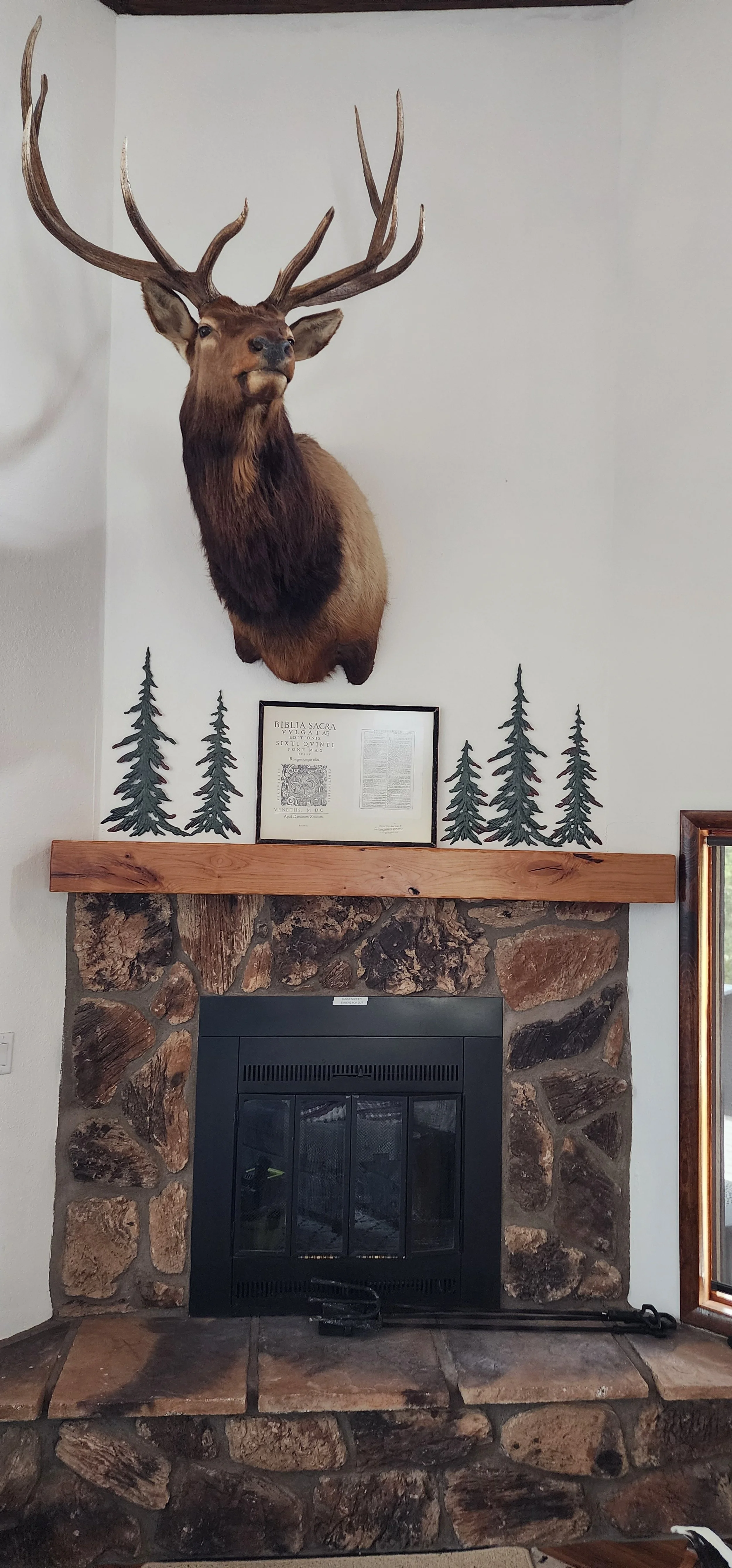 Knotty Alder Natural Oil finish. Pine, AZ