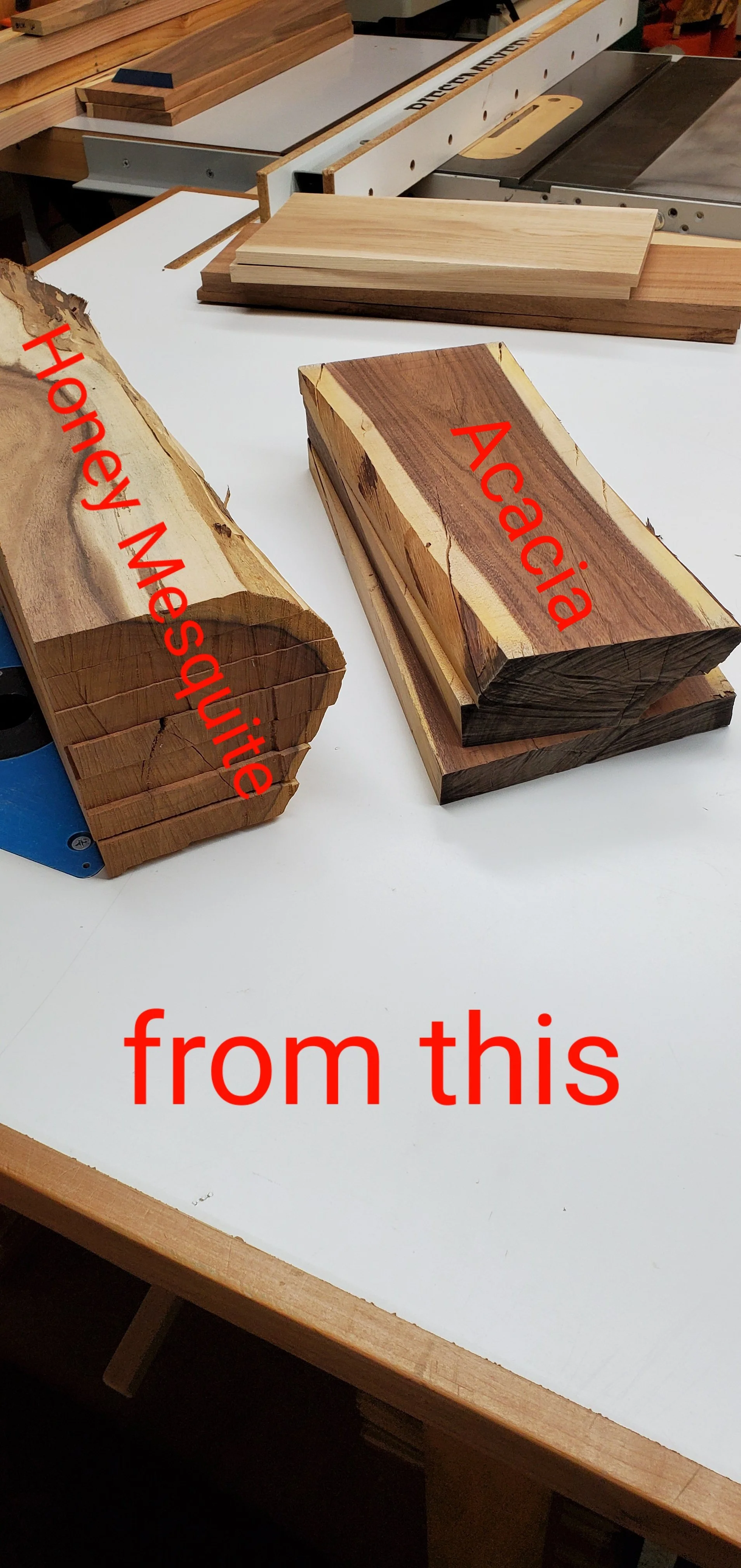 'Honey Mesquite' and 'Acacia' 