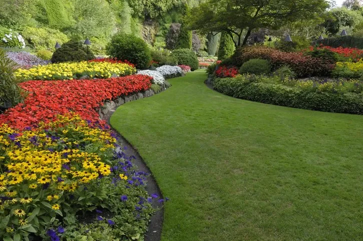 A lush garden with a curved grass pathway surrounded by vibrant flowers and greenery.