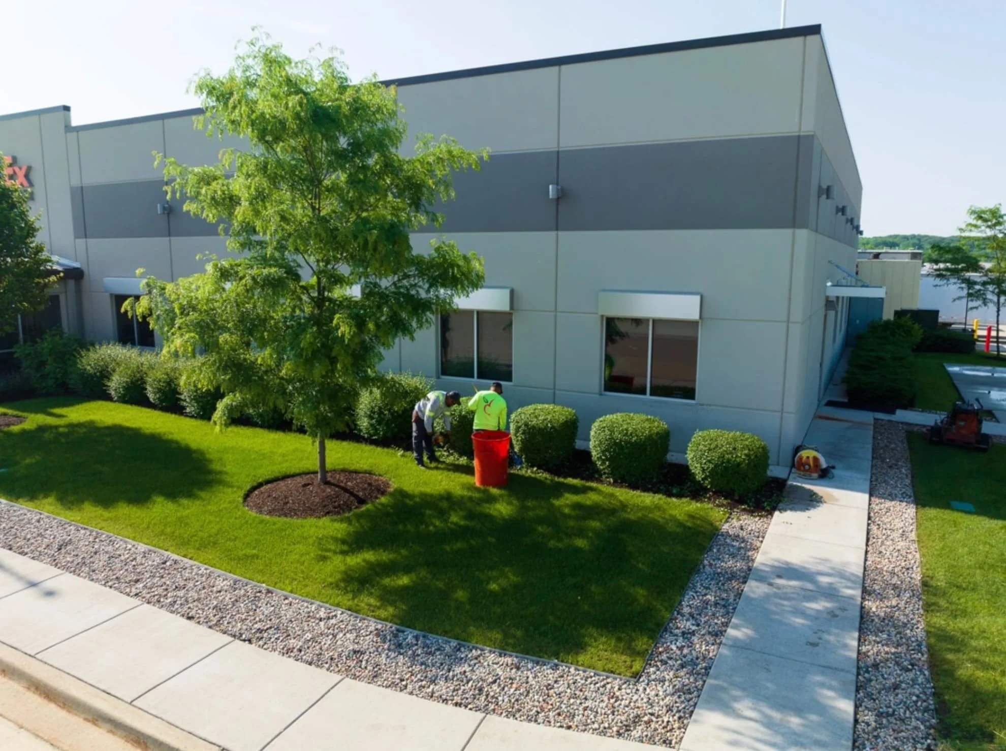 Two workers planting or tending to bushes in a landscaped area outside a commercial building, with a tree, a mulch bed, sidewalk, and windows visible.