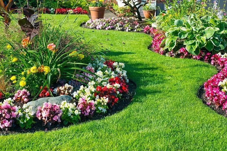 A colorful flower garden with pink, white, and red flowers, green plants, and a neatly trimmed lawn in a backyard or park setting.
