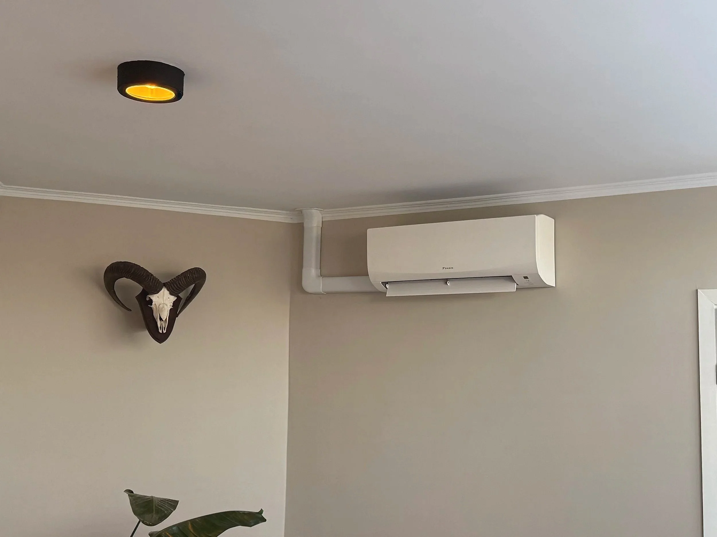 Een plafond met een inbouwspot en een net geplaatste airconditioning. Aan de muur hangt een decoratie met een ramshorn en een schedel.