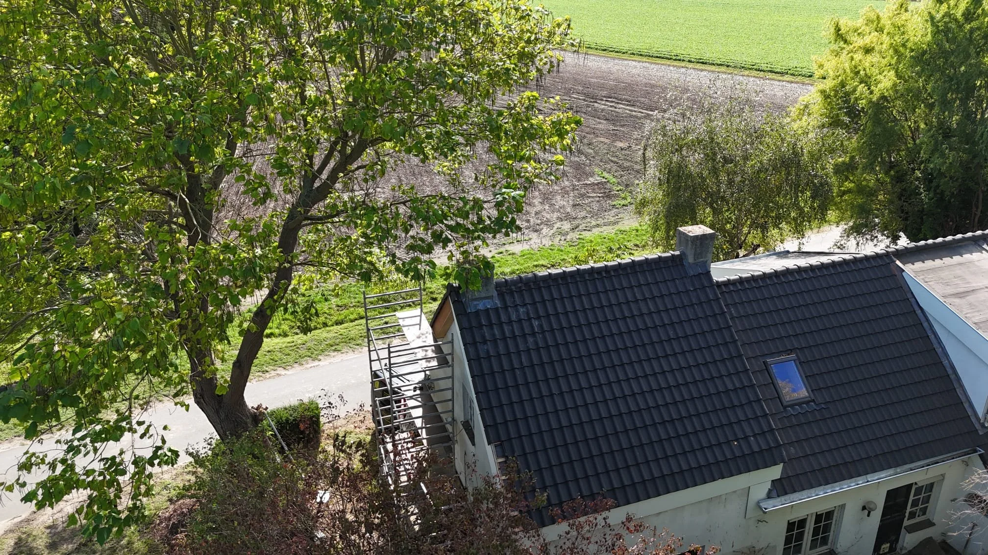 Een huis met een zwarte dakbedekking, een dakraam, en een grote boom op de voorgrond. Naast het huis ligt een smalle weg en in de achtergrond zijn velden en bomen zichtbaar.
