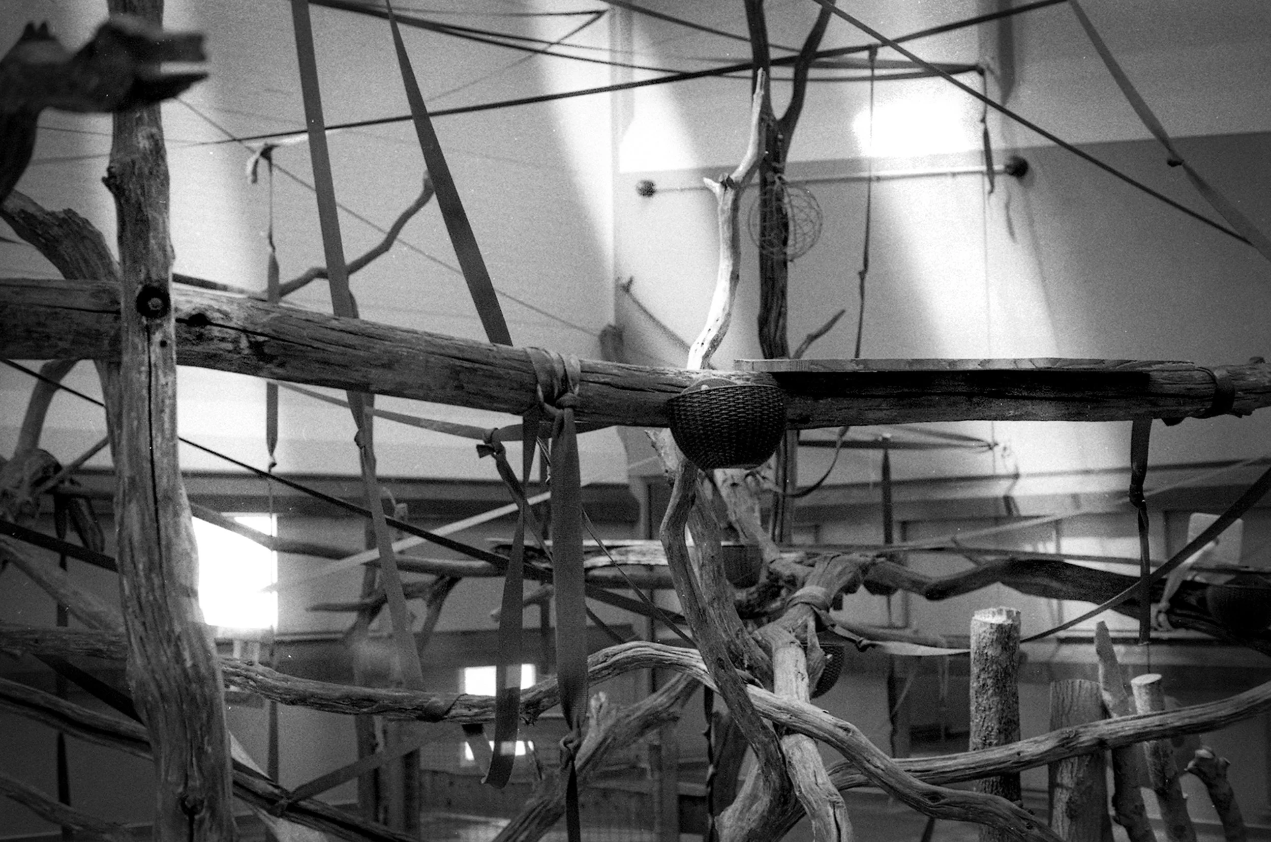 Image-1.jpg
