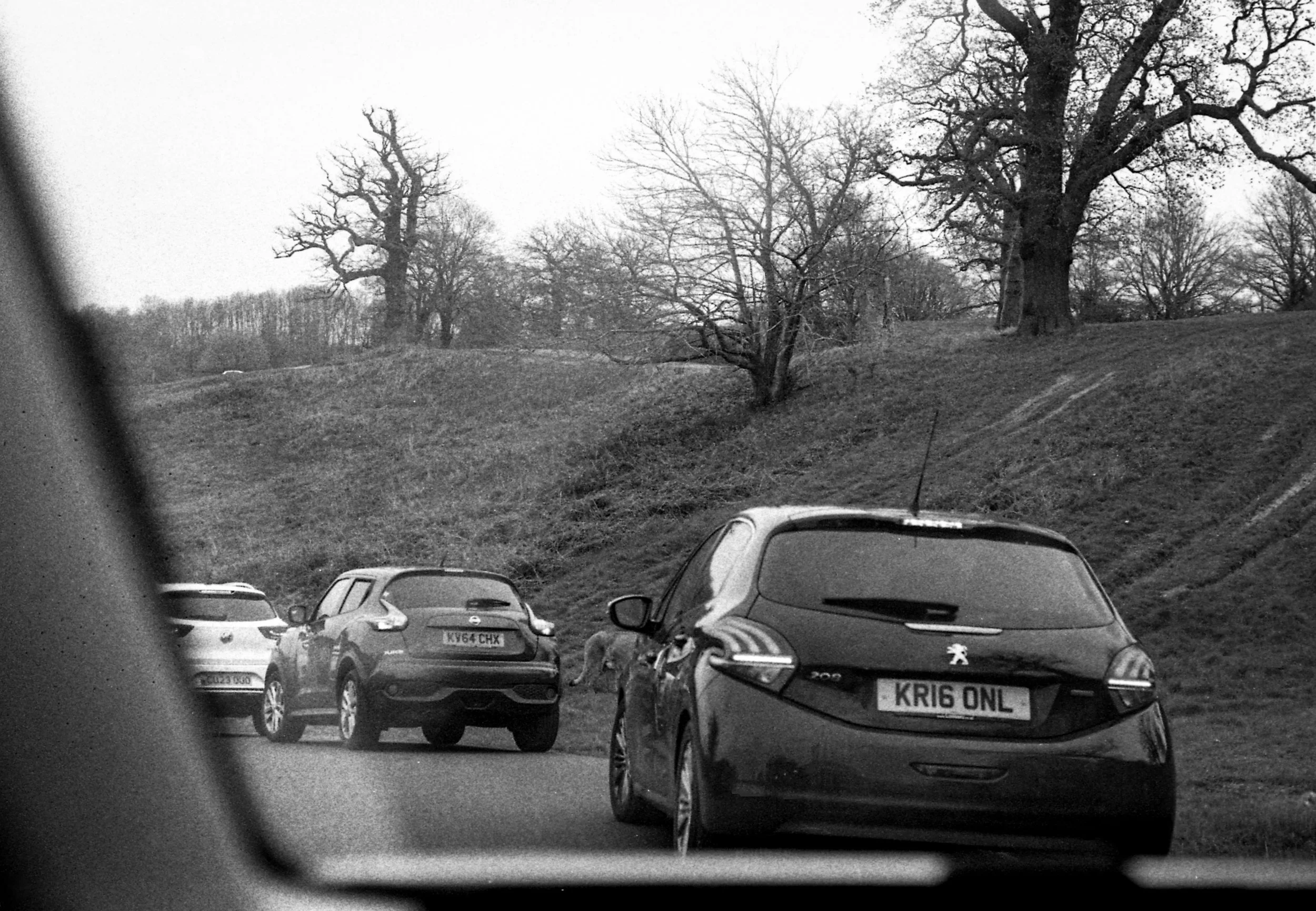 Image-15.jpg