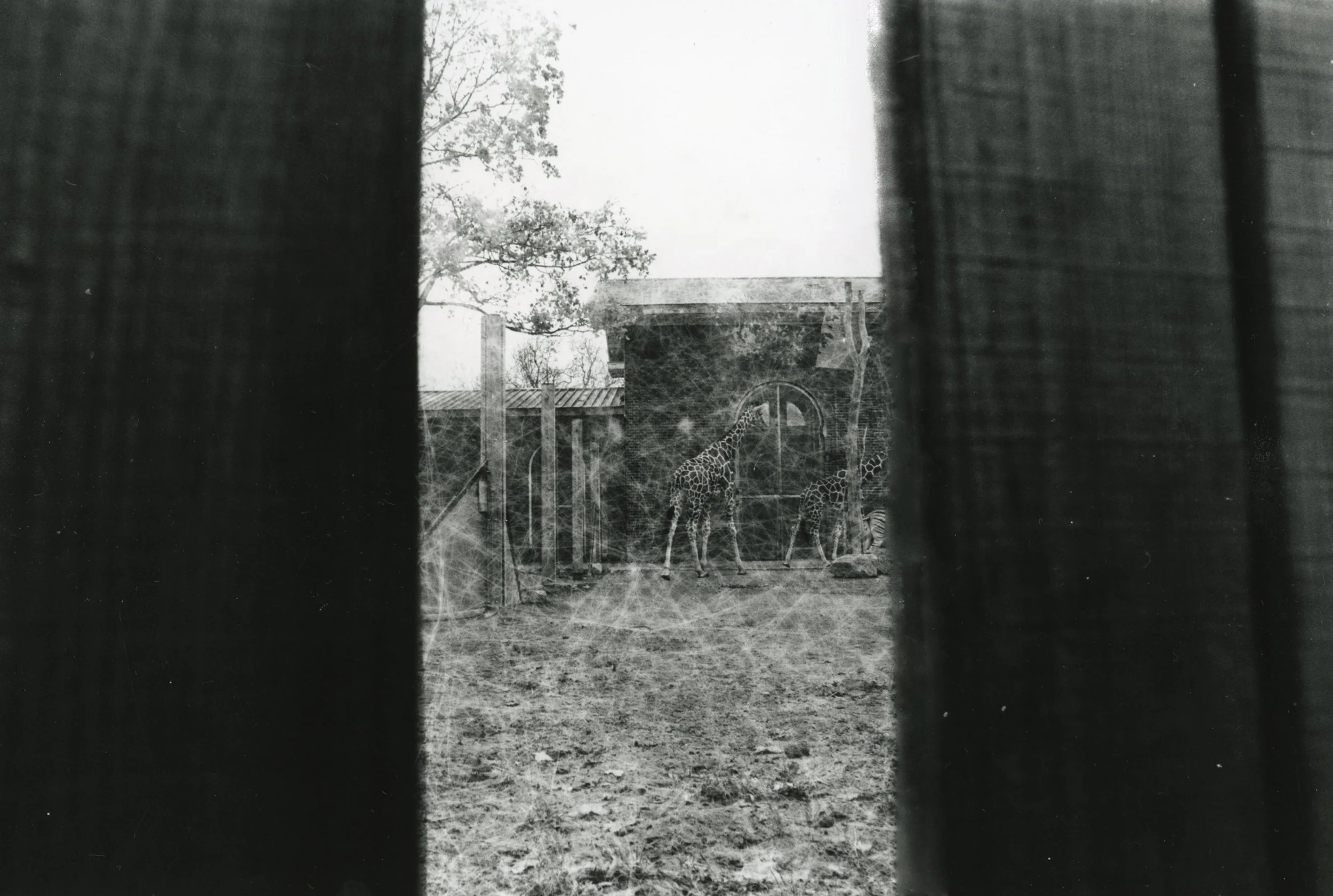 Image-12.jpg