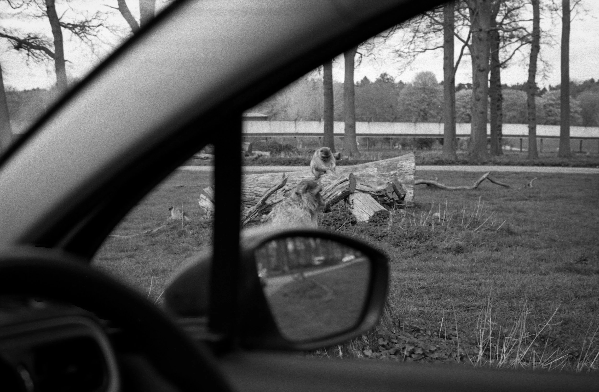 Image-14.jpg