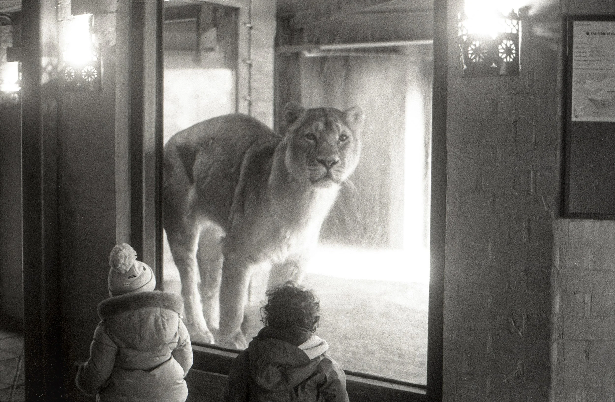 Image-8.jpg