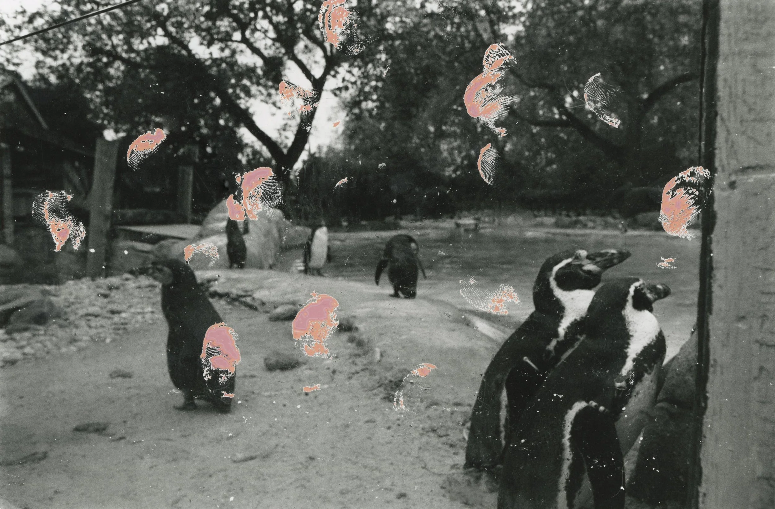Image-13.jpg