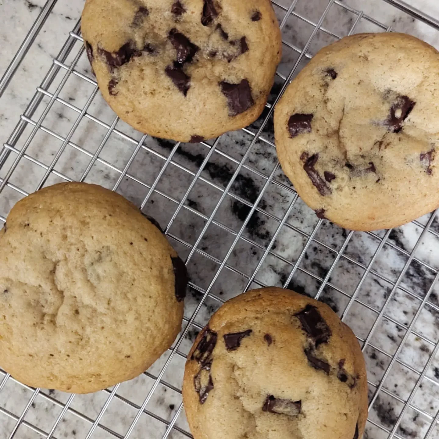 Testing, tasting, tweaking, repeat. 🍪

There&rsquo;s a lot that happens behind the scenes before something earns a spot on the Wild Pair menu.

Trailhead Chocolate Chip Cookies have been through round after round of testing &mdash; ingredients, doug