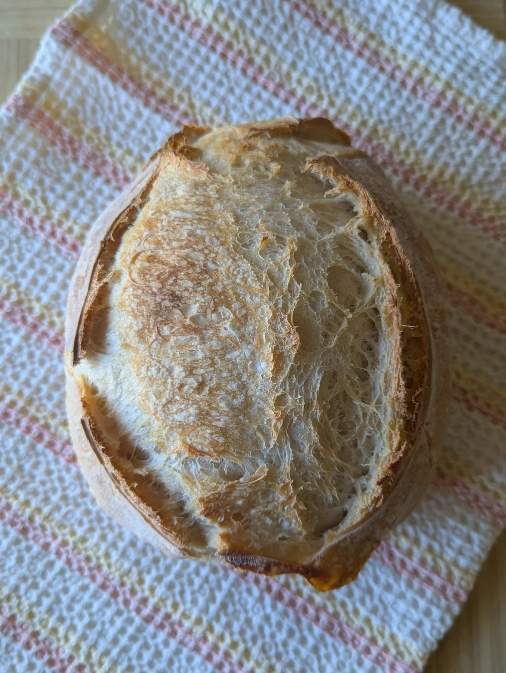 Front Range Classic Sourdough
