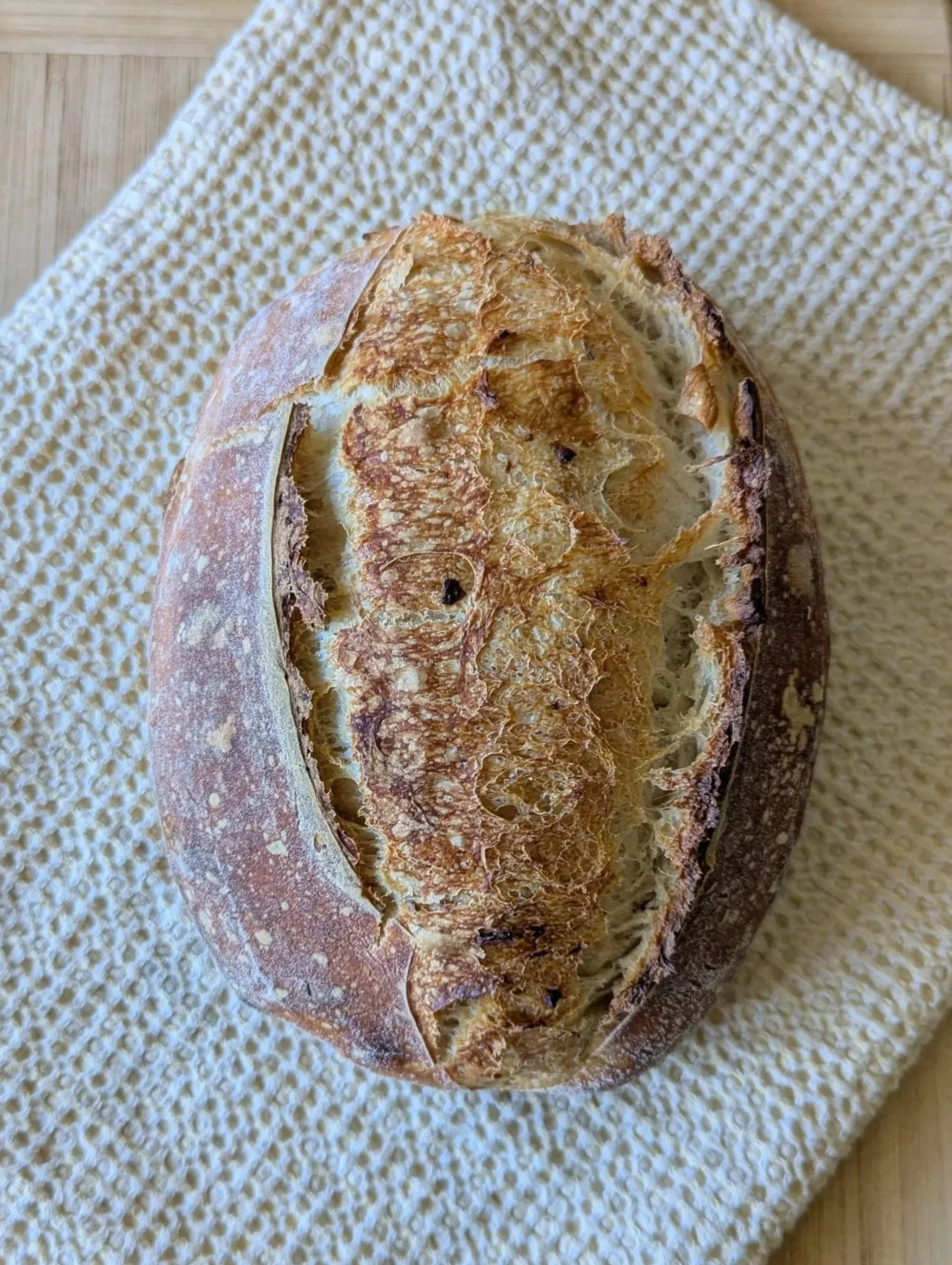 High Country Herb Sourdough
