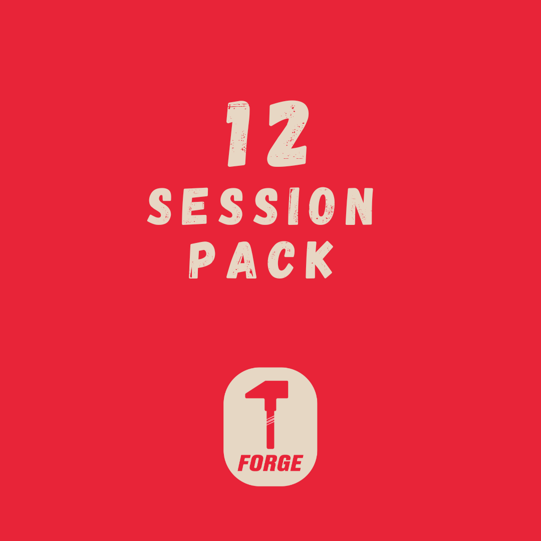 Anvil Academy ( 12 Session Pack)