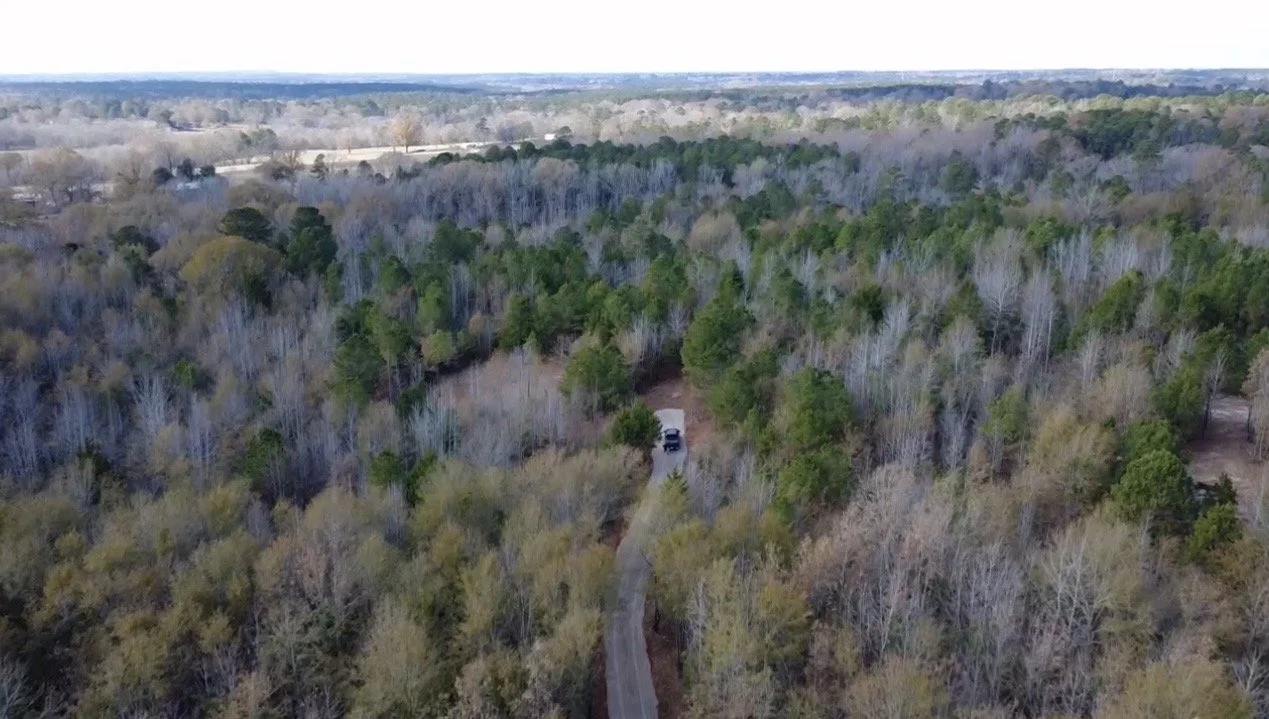 Aerial view of a wooded area with a narrow driveway leading to a white parked vehicle, surrounded by trees with bare branches and some green foliage, under a blue sky.