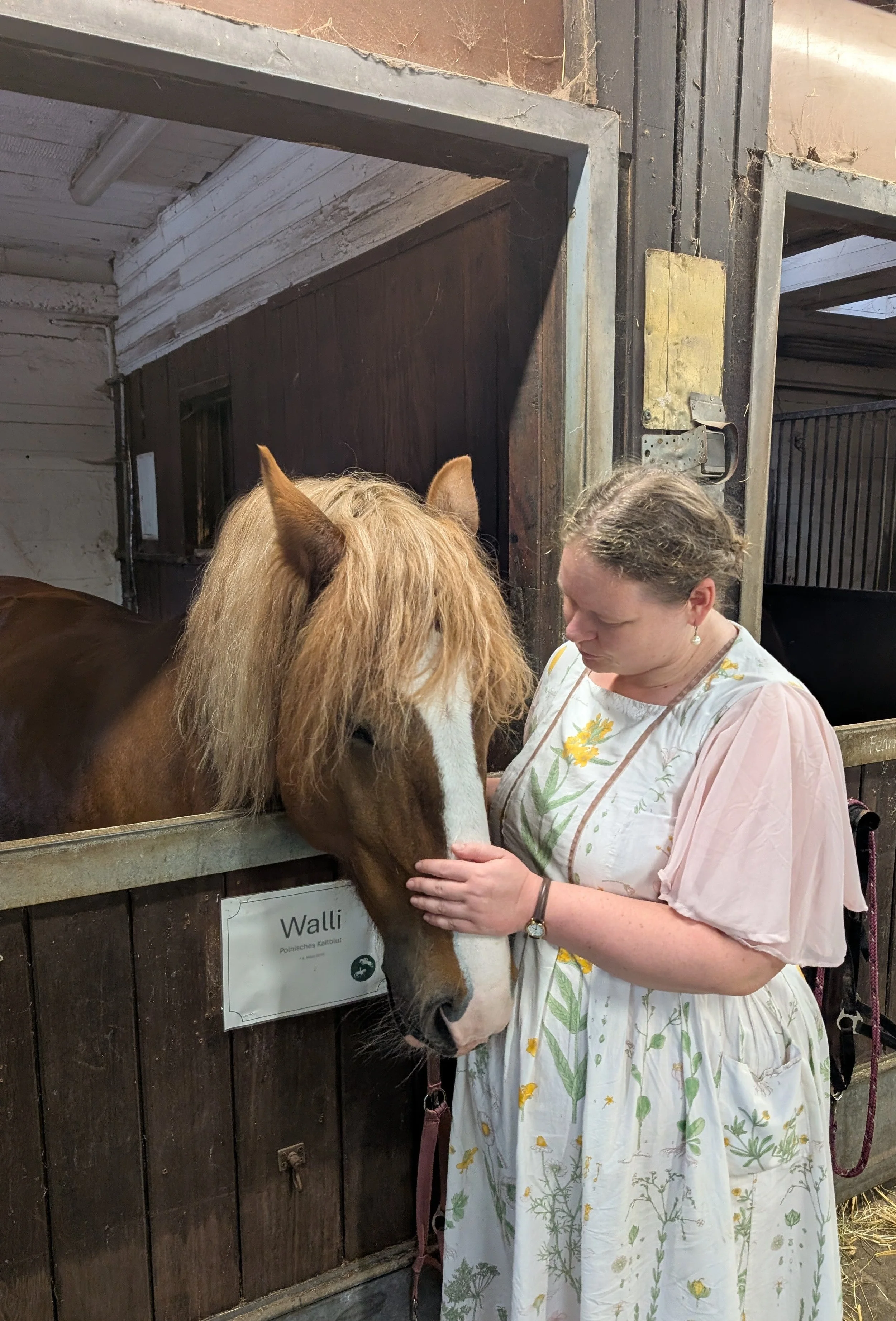 Eine blonde Frau in einem weißen, floralen Kleid streichelt ein braunes Pony mit einer weißen Blässe. Das Pony befindet sich in einem Stall mit einem Schild, auf dem 'Walli' steht.