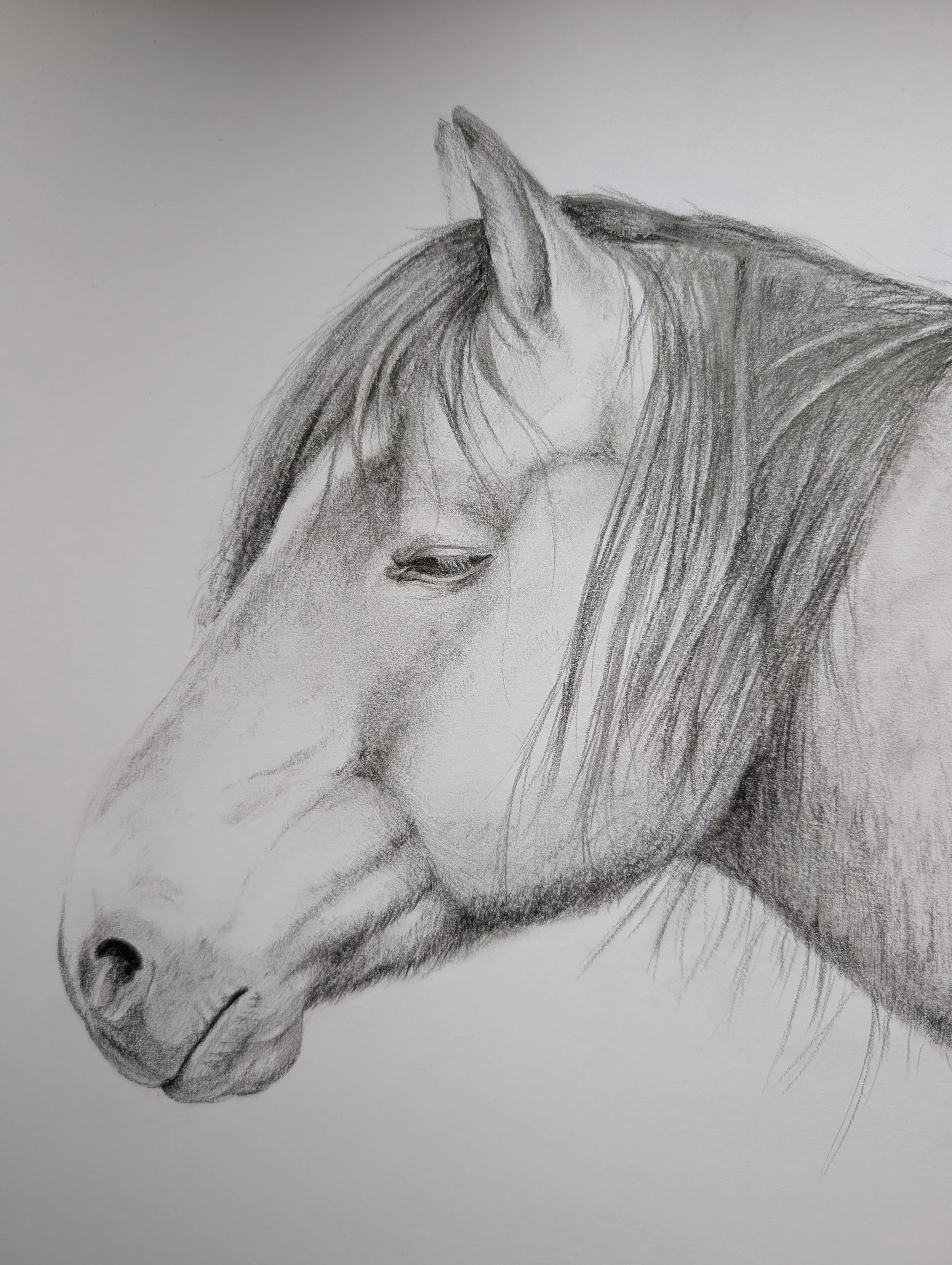 Kohleportrait