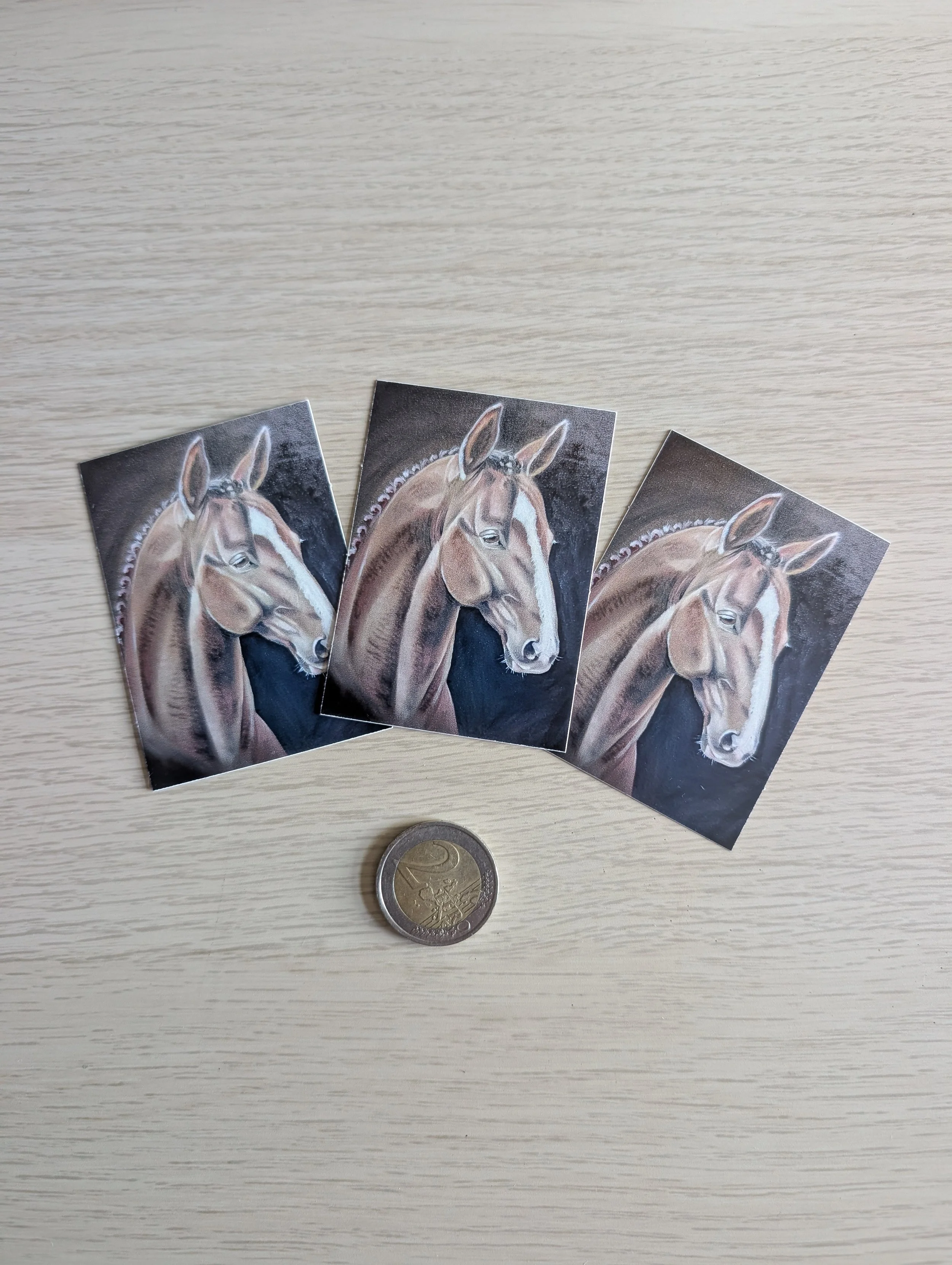 Stallion Sticker mit Münze.jpg