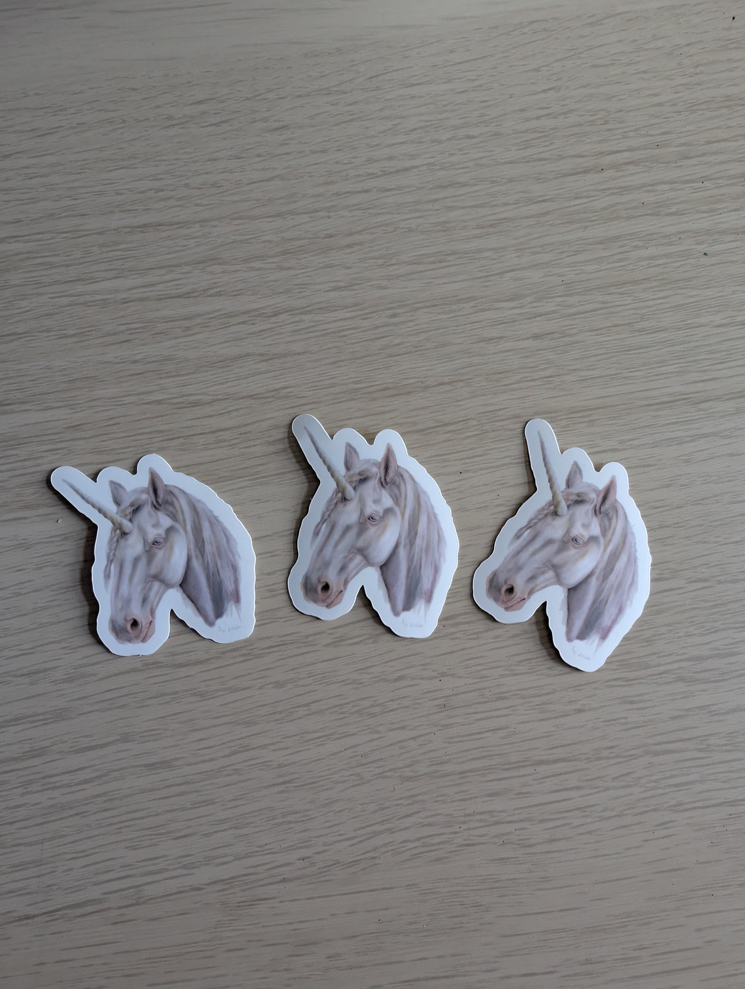 Einhorn Sticker ohne Münze.jpg