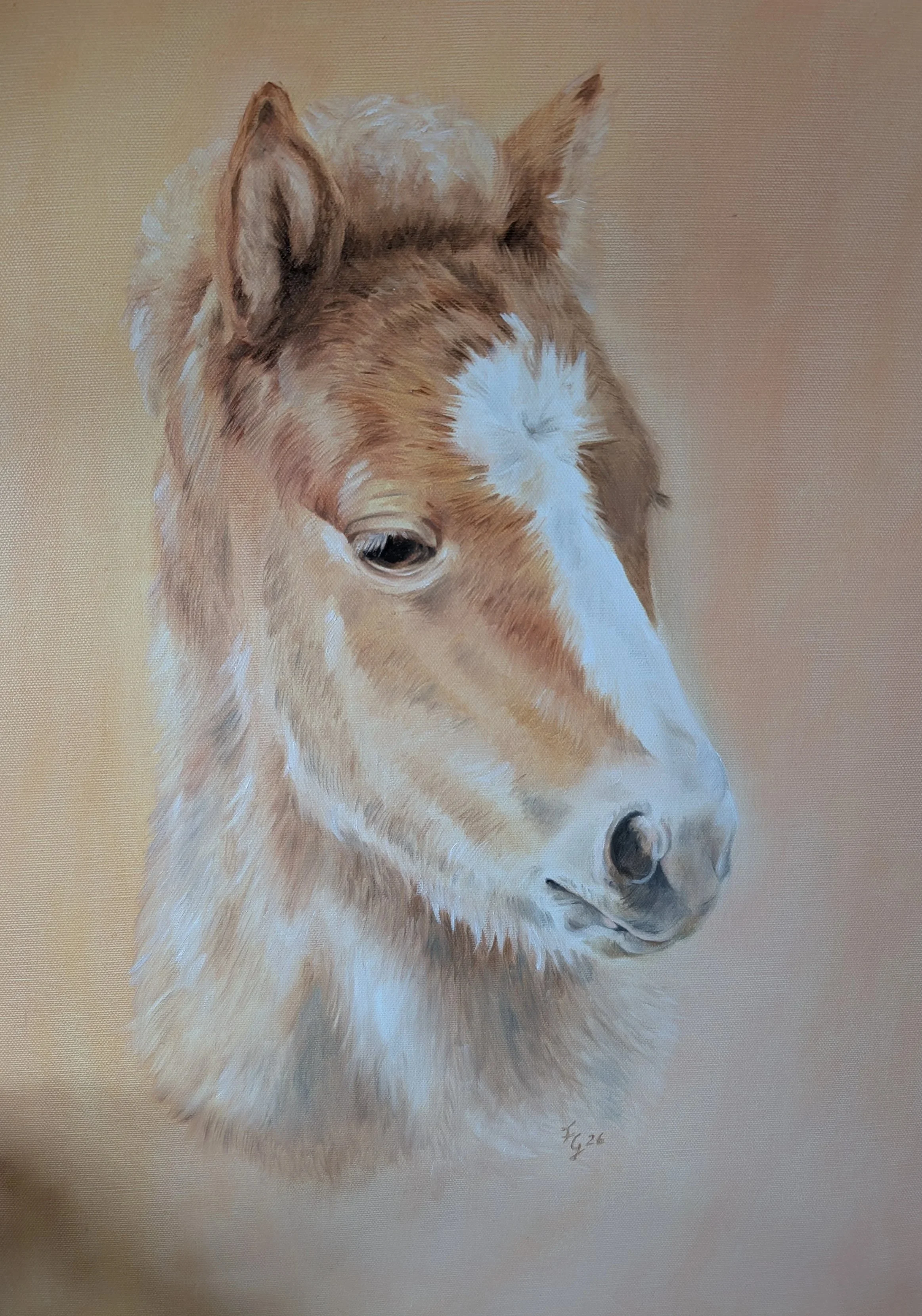 Porträt eines hellen Ponyfohlens in Ölmaltechnik. Es hat weiches Fell, seelenvolle Augen und ist auf einem zartrosa Hintergrund gemalt. Ein wunderschönes Pferdeportrait!